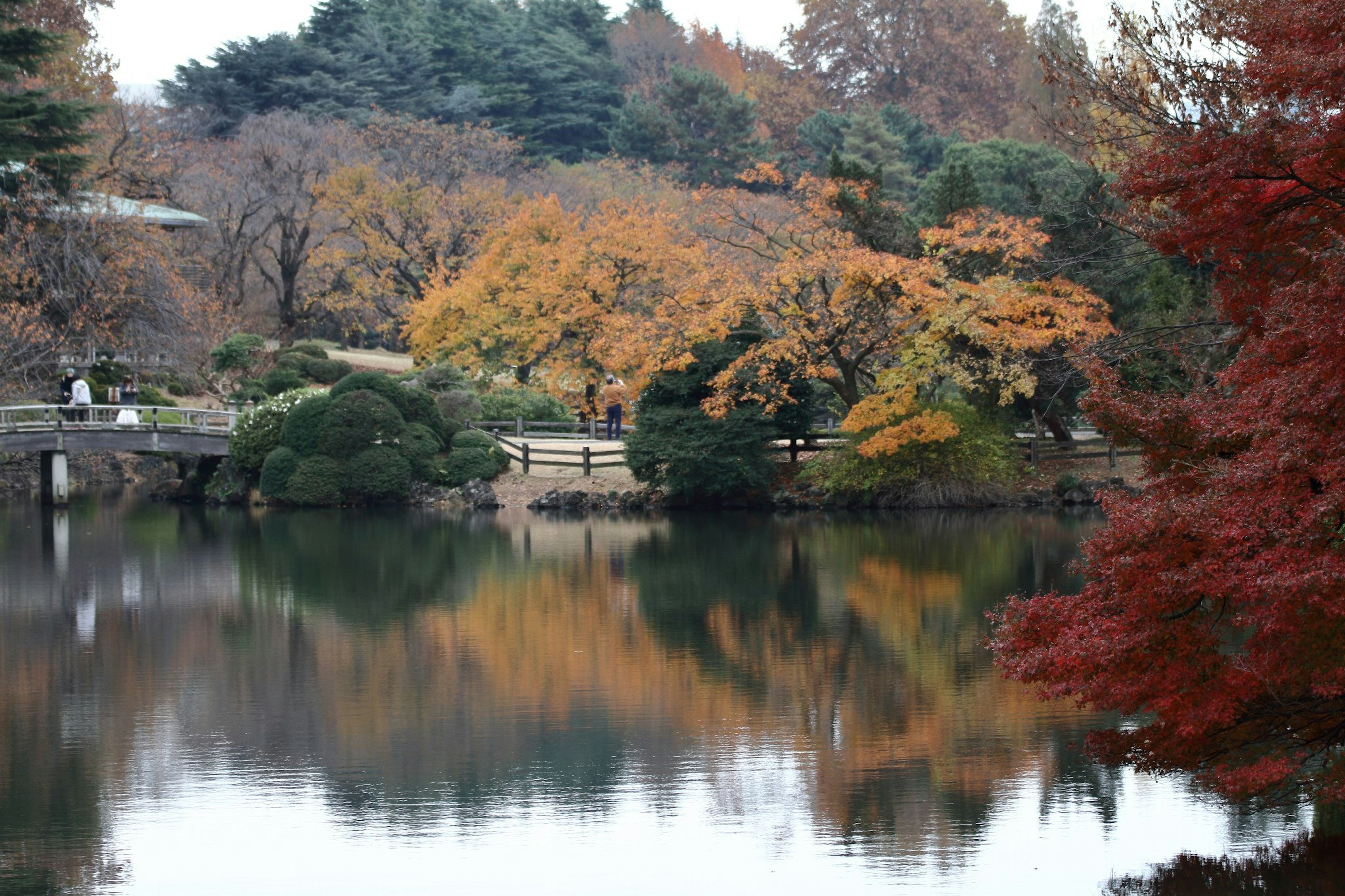 ทิวทัศน์สวยงามของทะเลสาบในสวนที่มีต้นไม้หลากสีสะท้อนในน้ำ