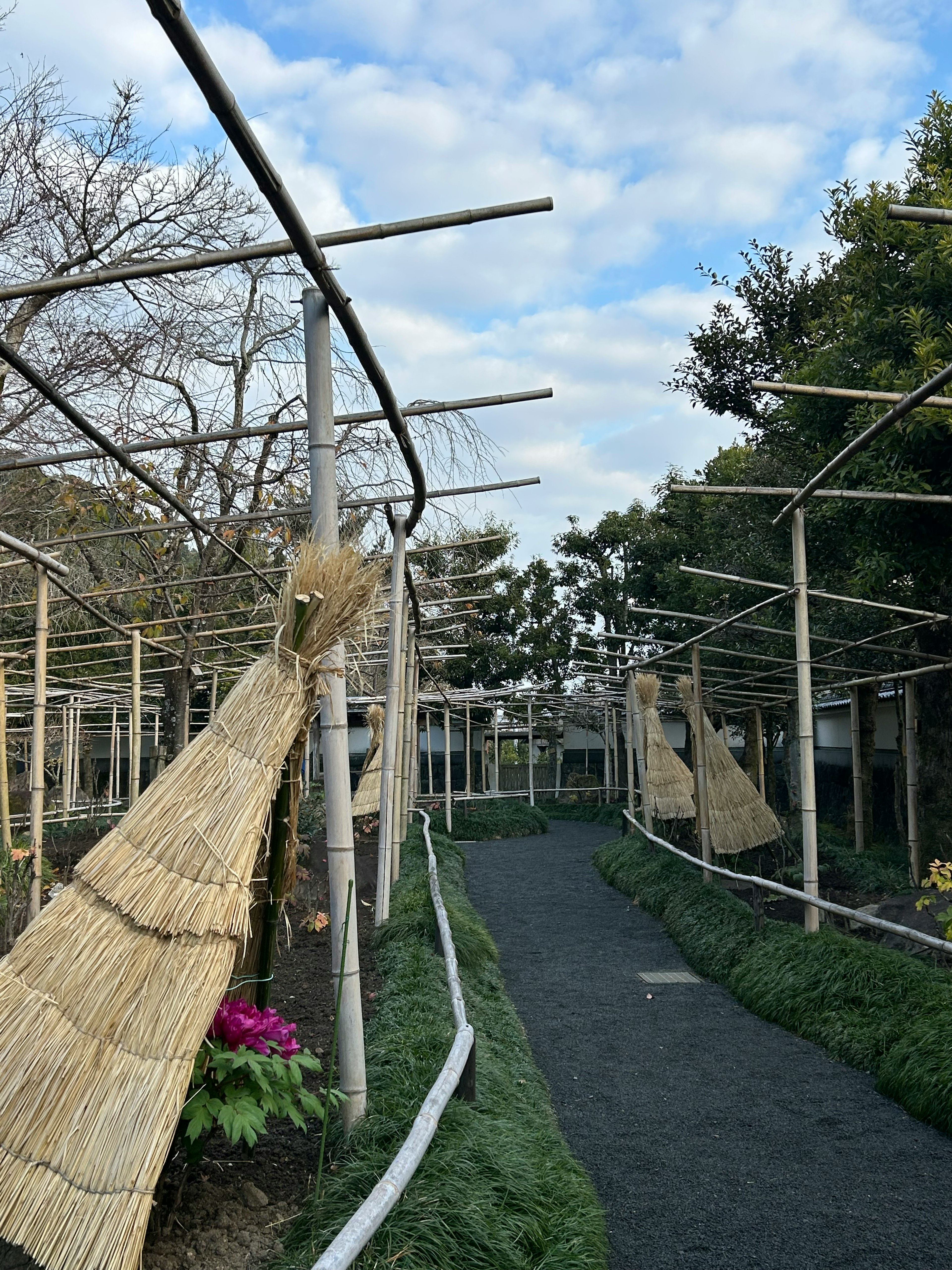 Pemandangan taman dengan struktur bambu di bawah langit biru dan awan