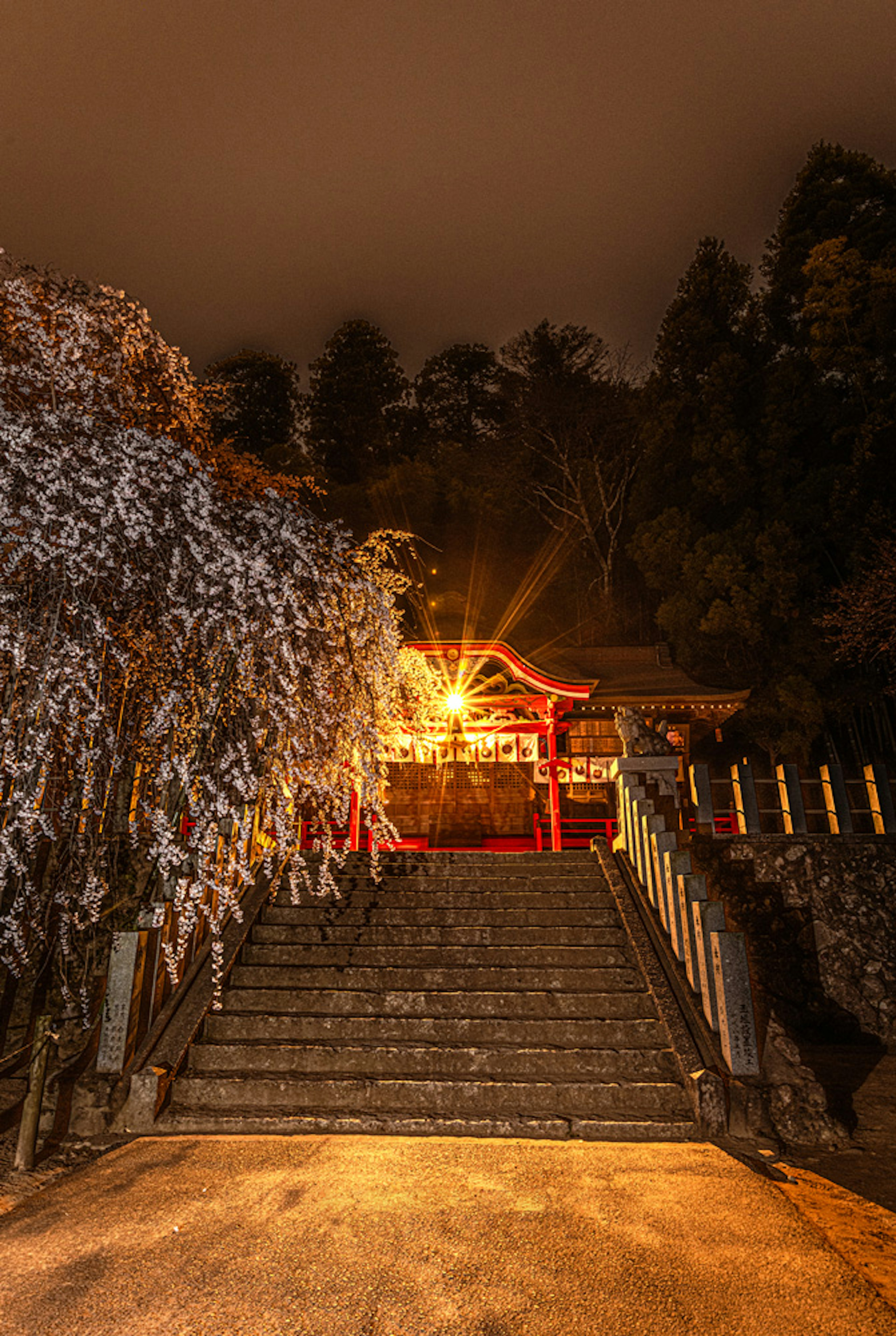 Illuminated shrine stairs at night surrounded by trees and soft lighting