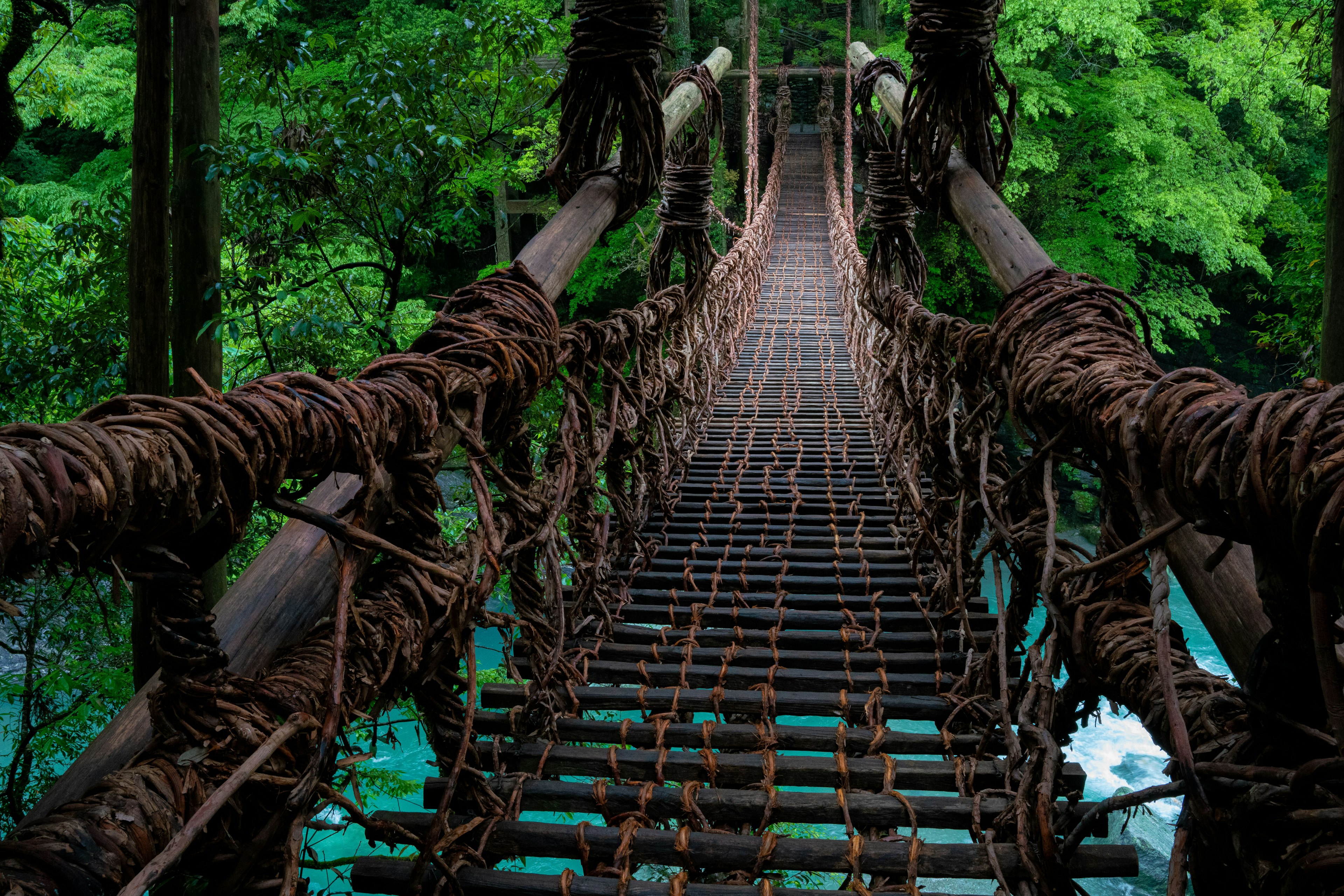 Ponte sospeso in una foresta verdeggiante con struttura in legno e design in corda