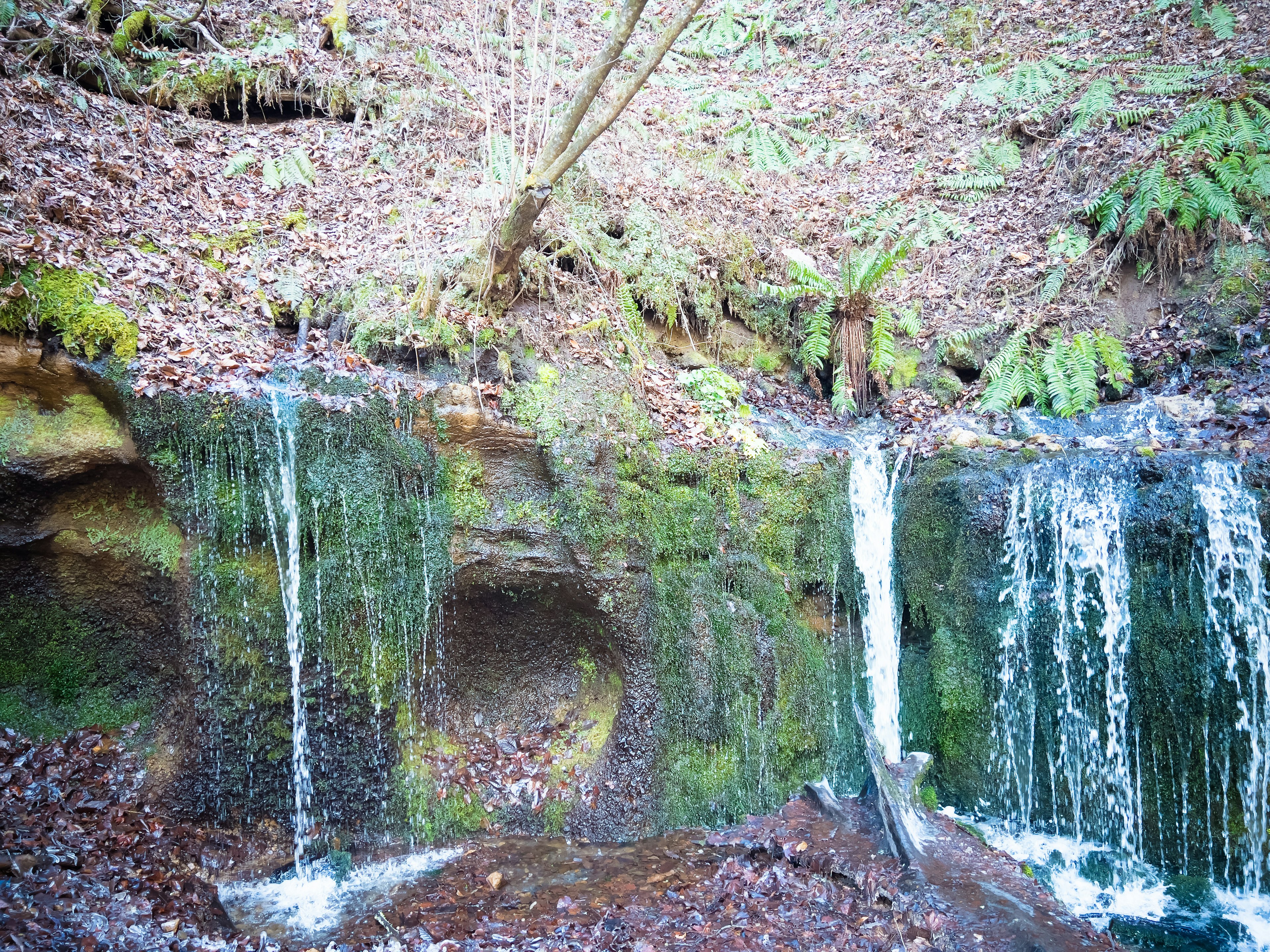 Pemandangan alami dengan air terjun kecil mengalir di atas dinding batu yang ditutupi lumut