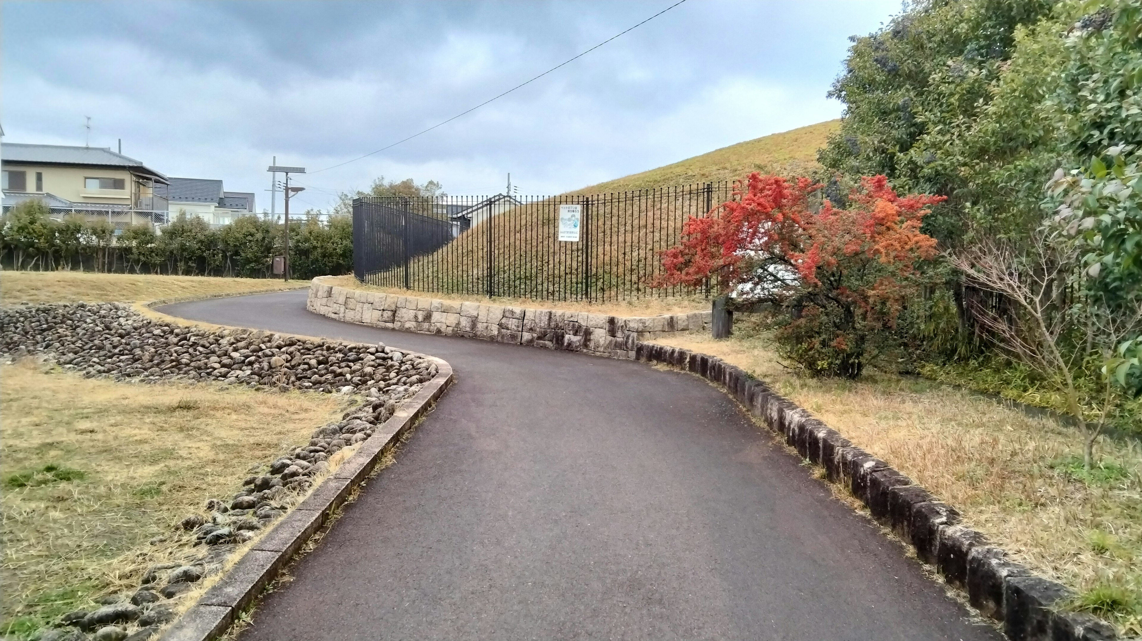 Chemin pavé dans un parc verdoyant avec feuillage d'automne