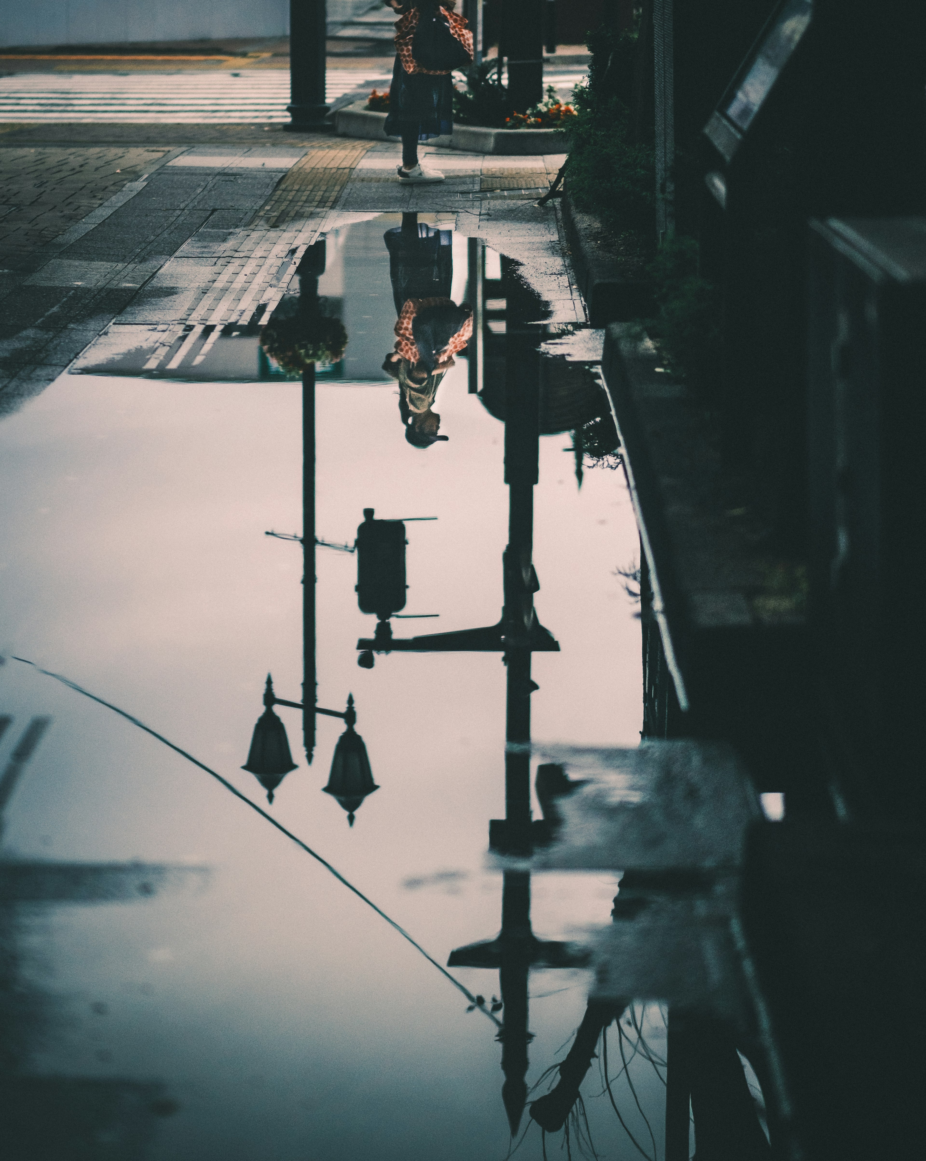 Reflection of streetlights and a person in a puddle