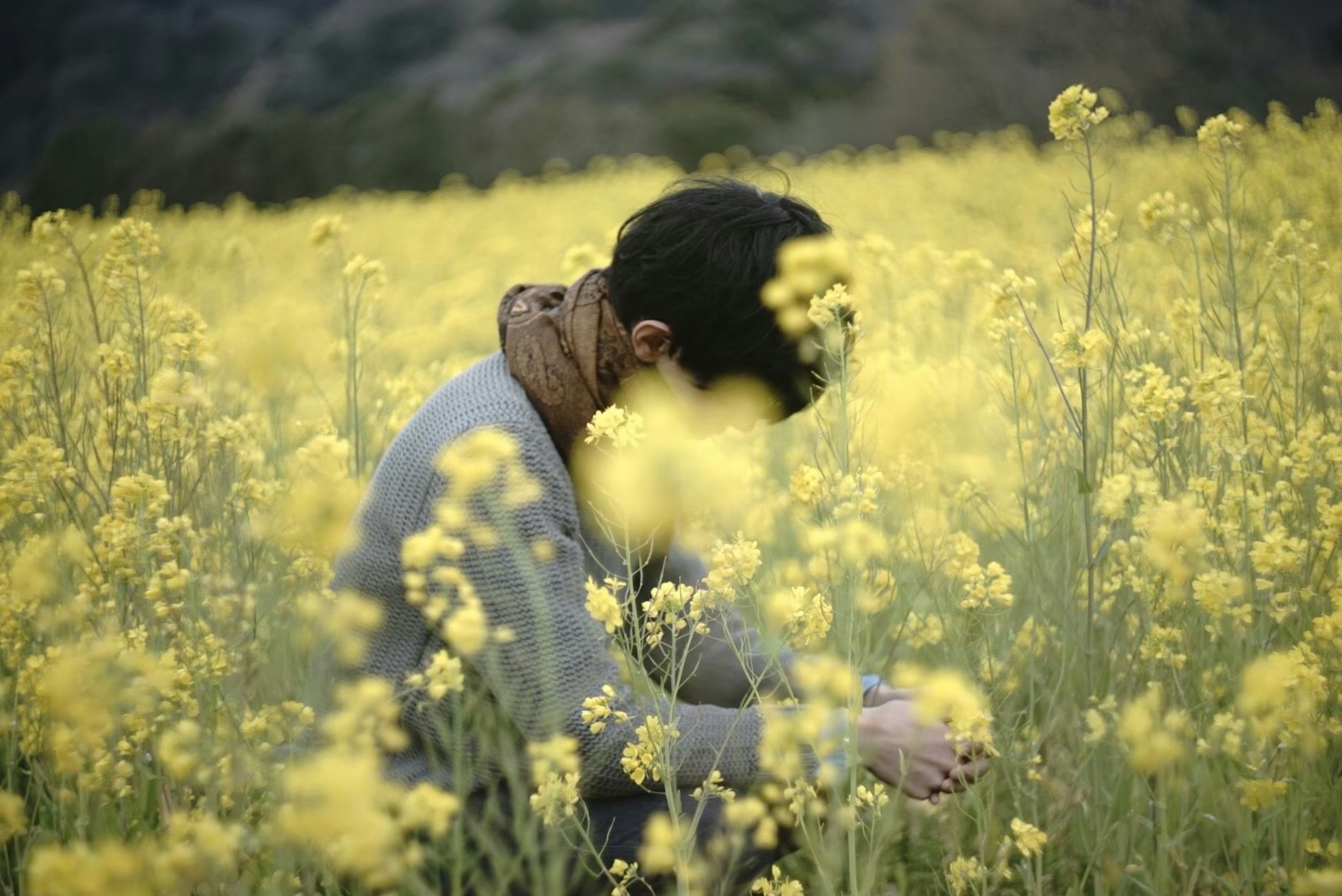 Personne assise dans un champ de fleurs jaunes regardant vers le bas