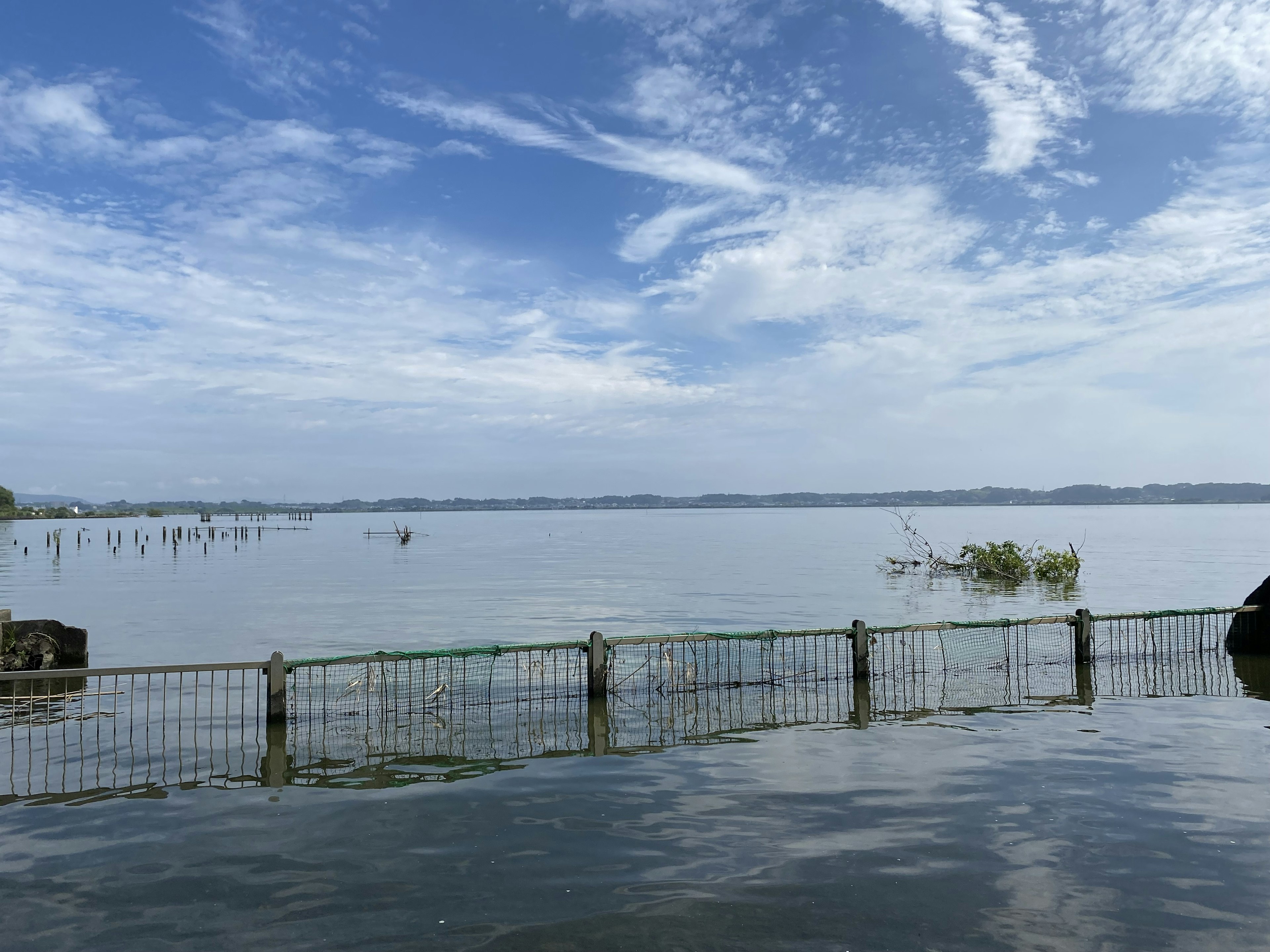 Permukaan air tenang dengan langit biru pagar besi dan tanaman air terlihat