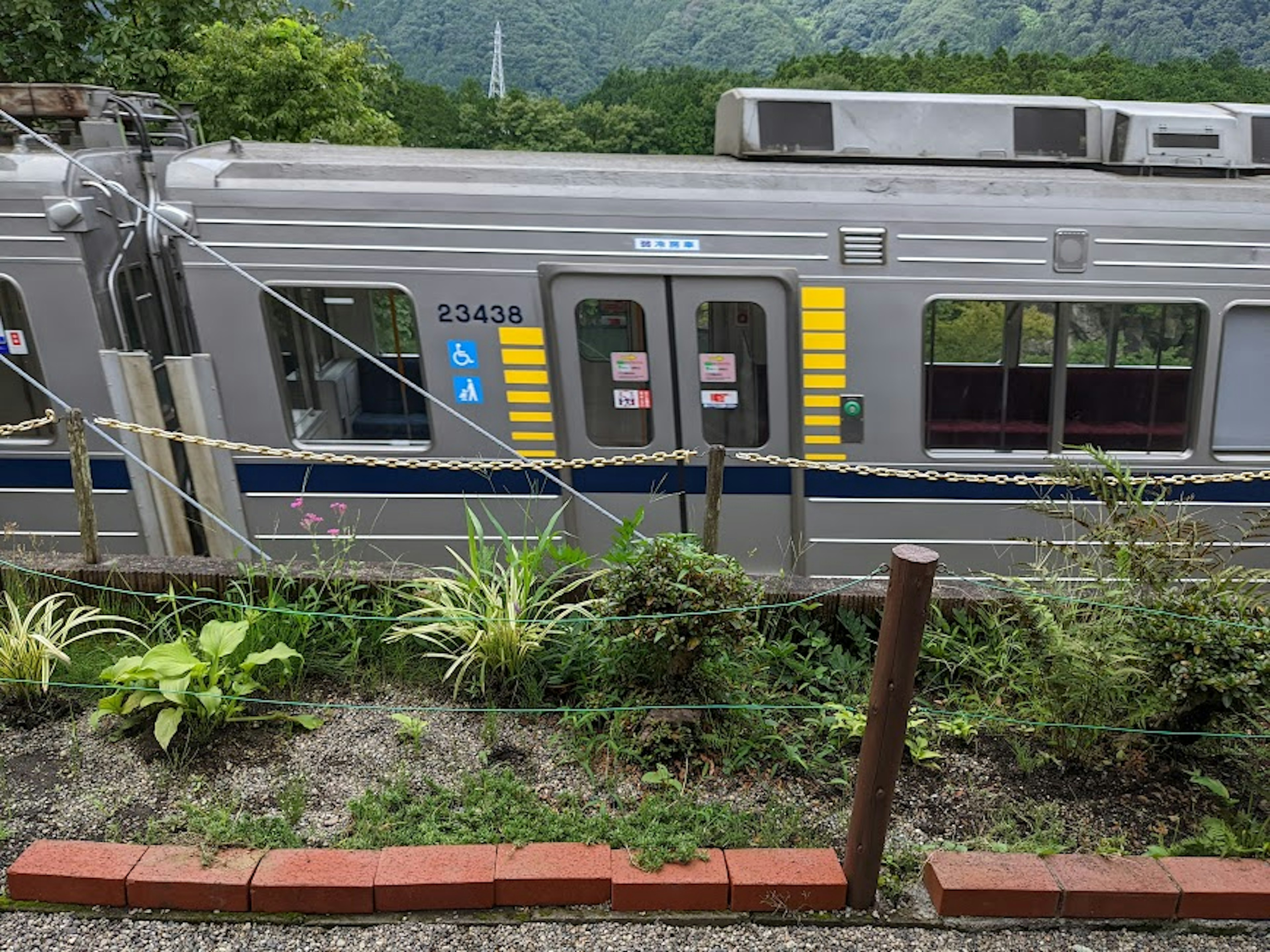 緑豊かな背景に停車中の銀色の電車と植物