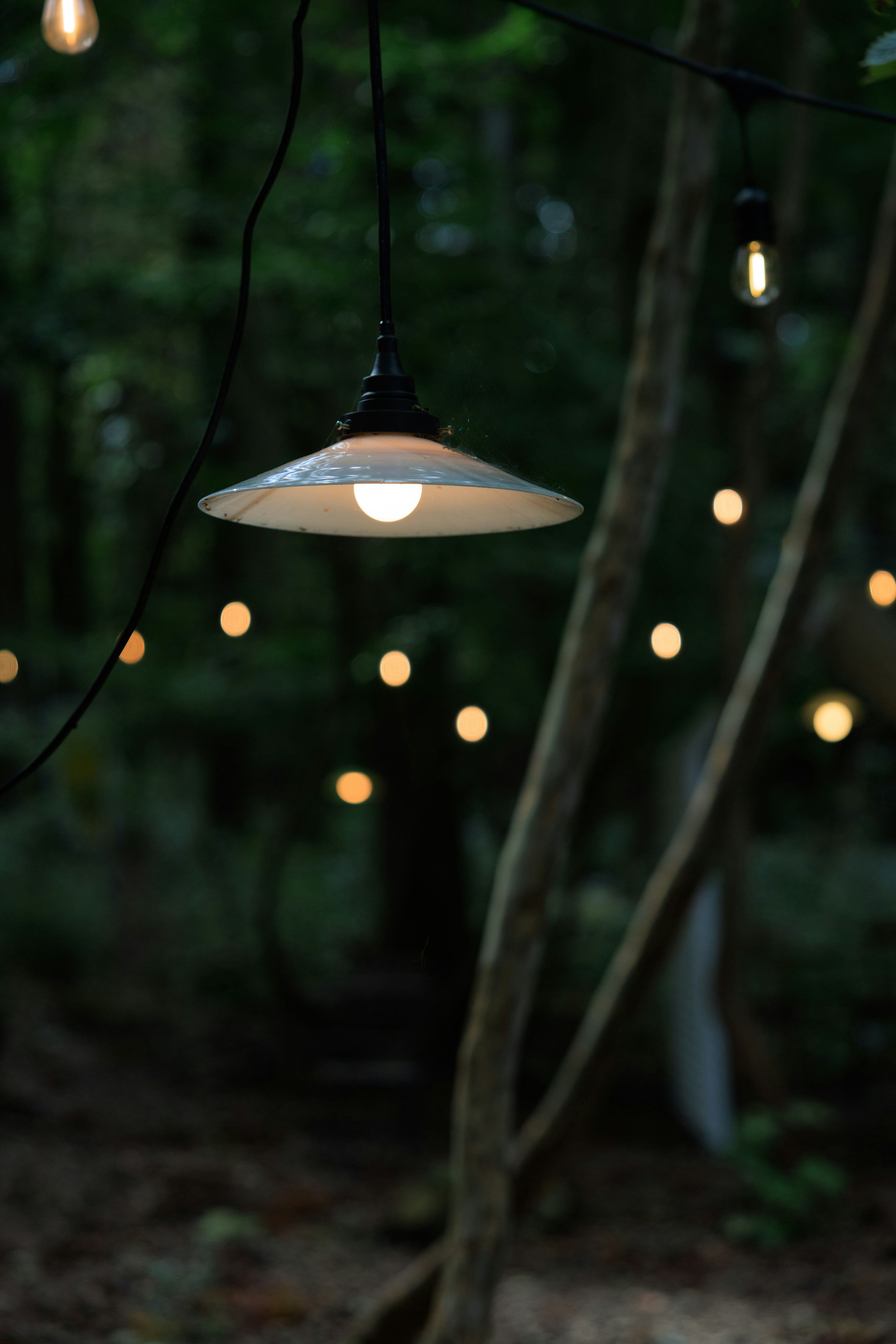 Lámpara colgante en el bosque con luces brillantes de fondo