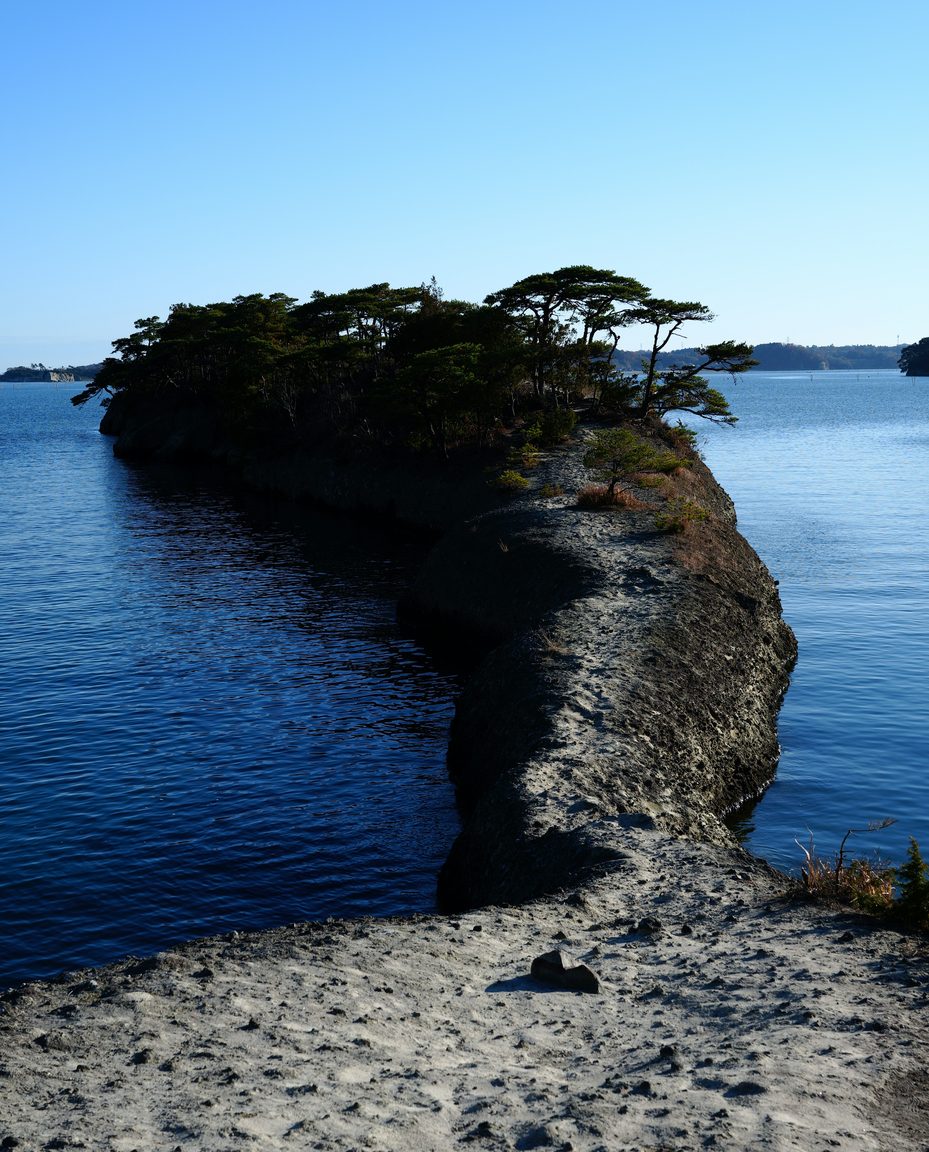 Una piccola isola con alberi circondata da acque calme