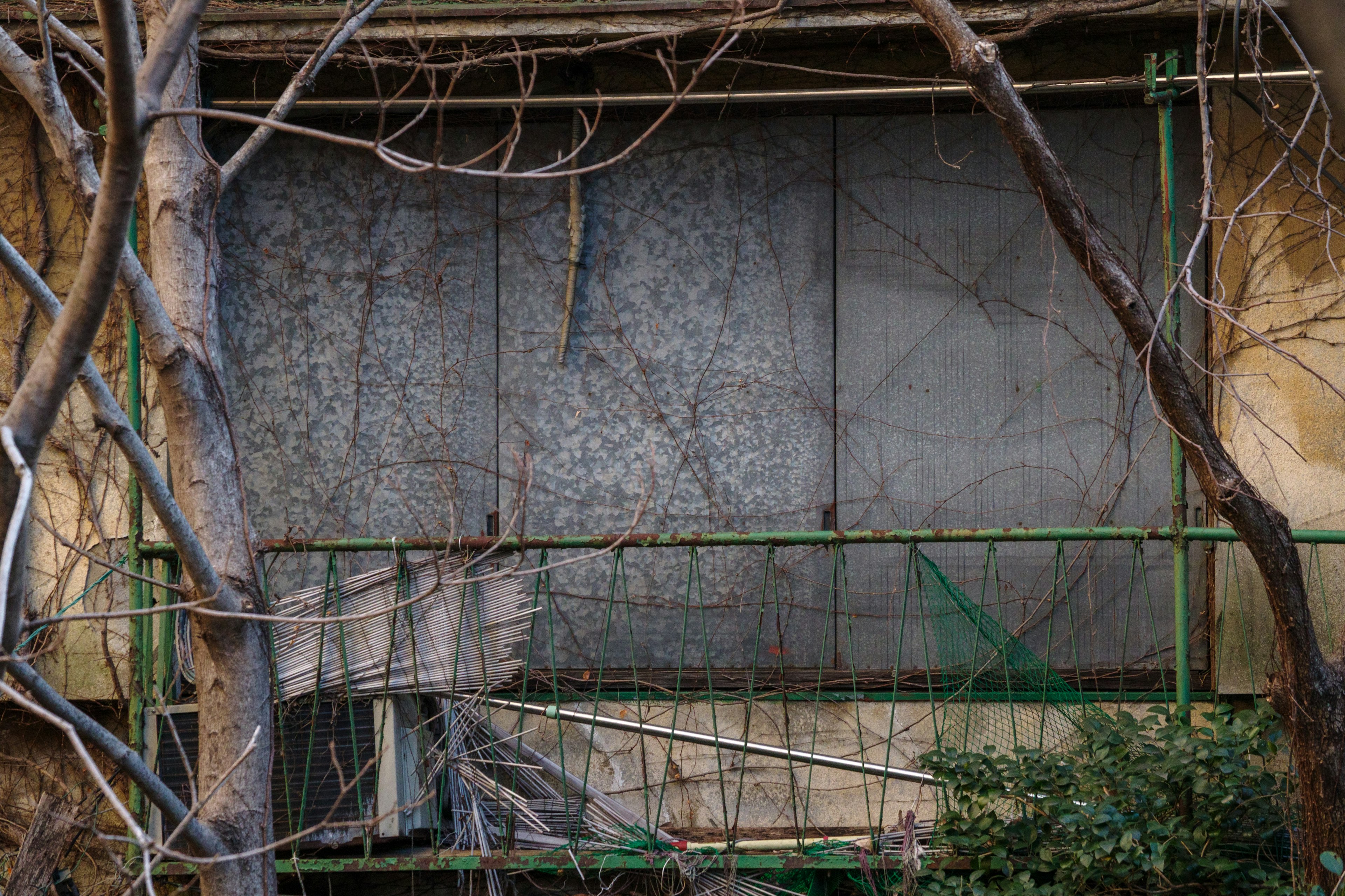 Un balcón desgastado con ramas de árbol entrelazadas