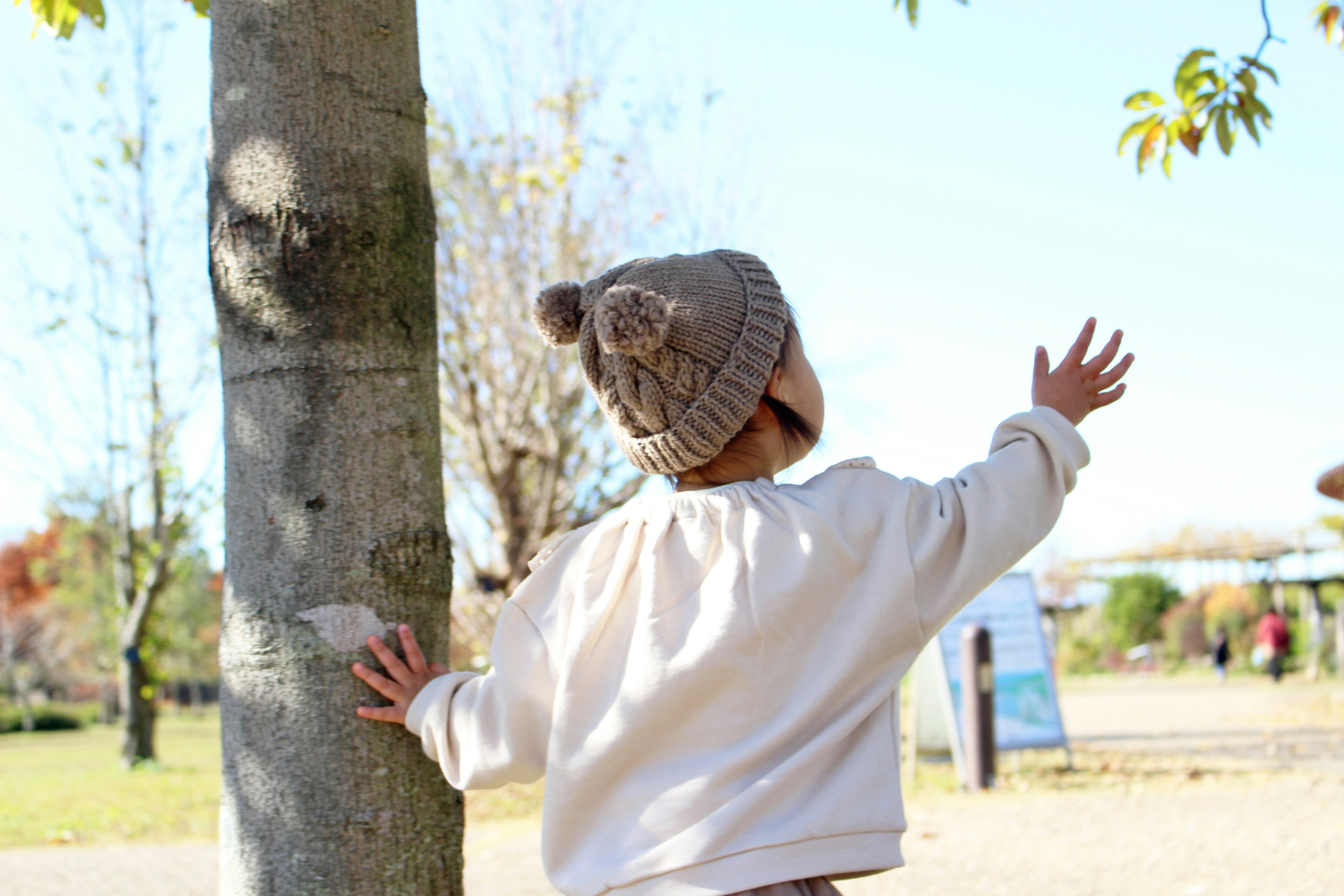 Child standing by a tree looking up at the sky