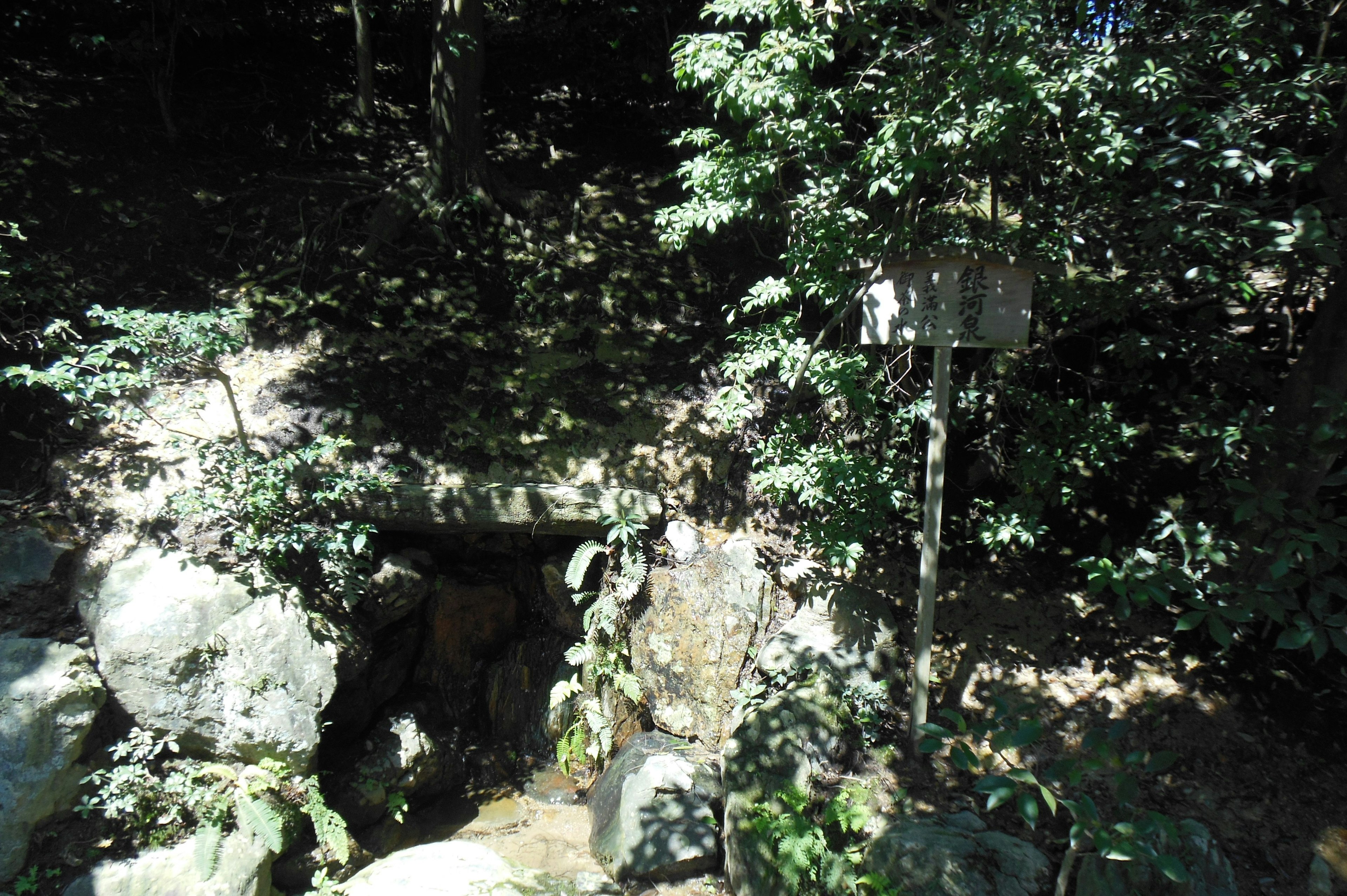 Malersicher Blick auf einen Bach umgeben von Bäumen Felsen und fließendem Wasser