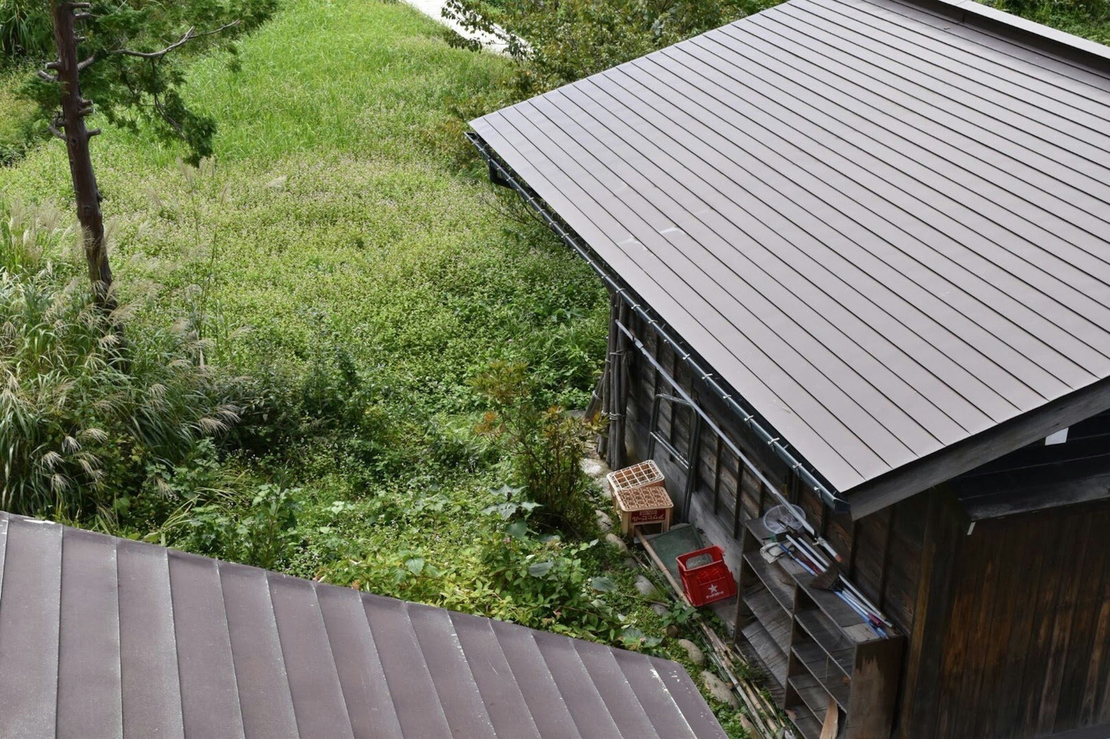 緑豊かな庭に面した木造の家の屋根の上からの眺め