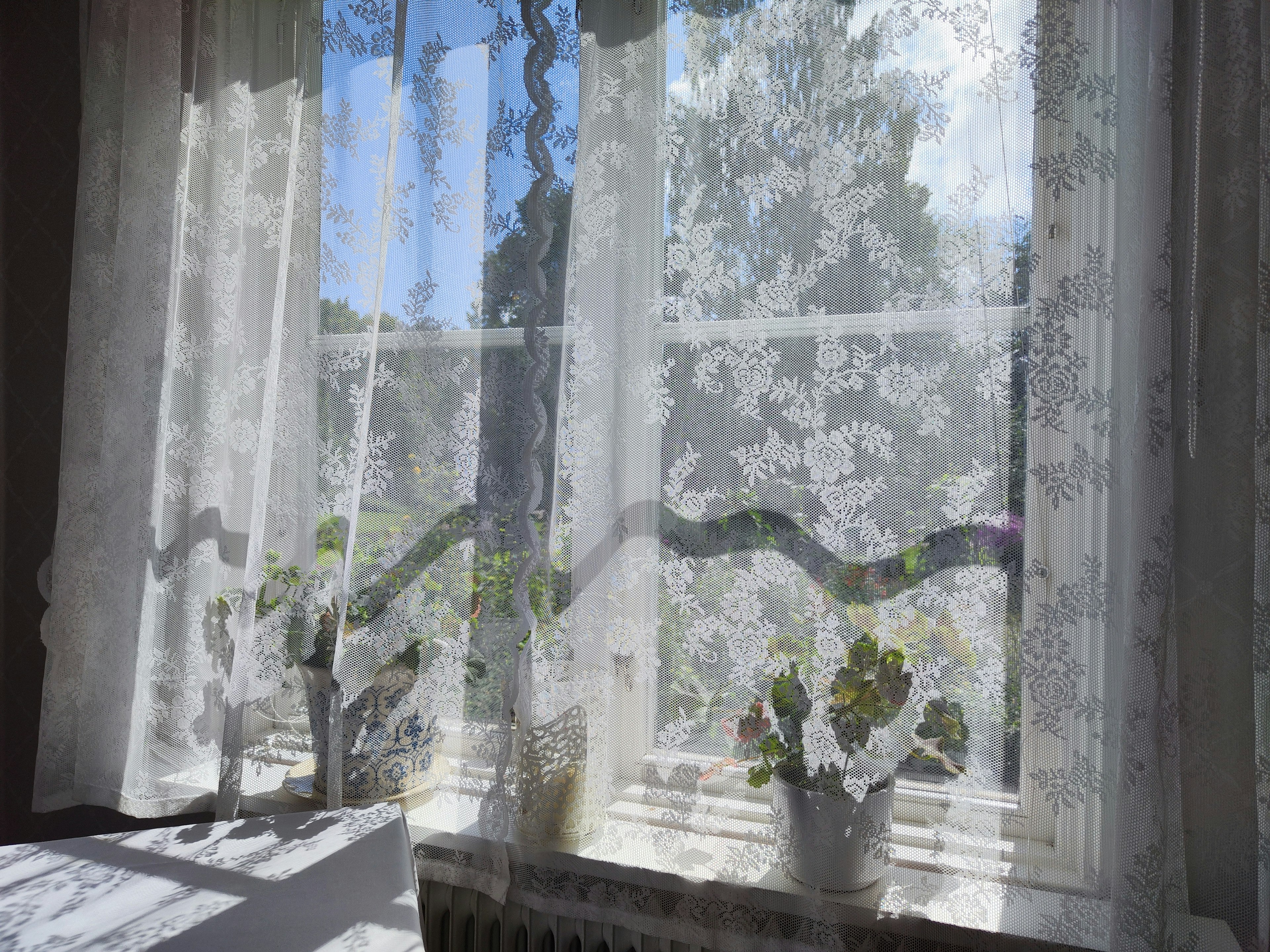 Bright indoor scene with lace curtains and potted plants near the window