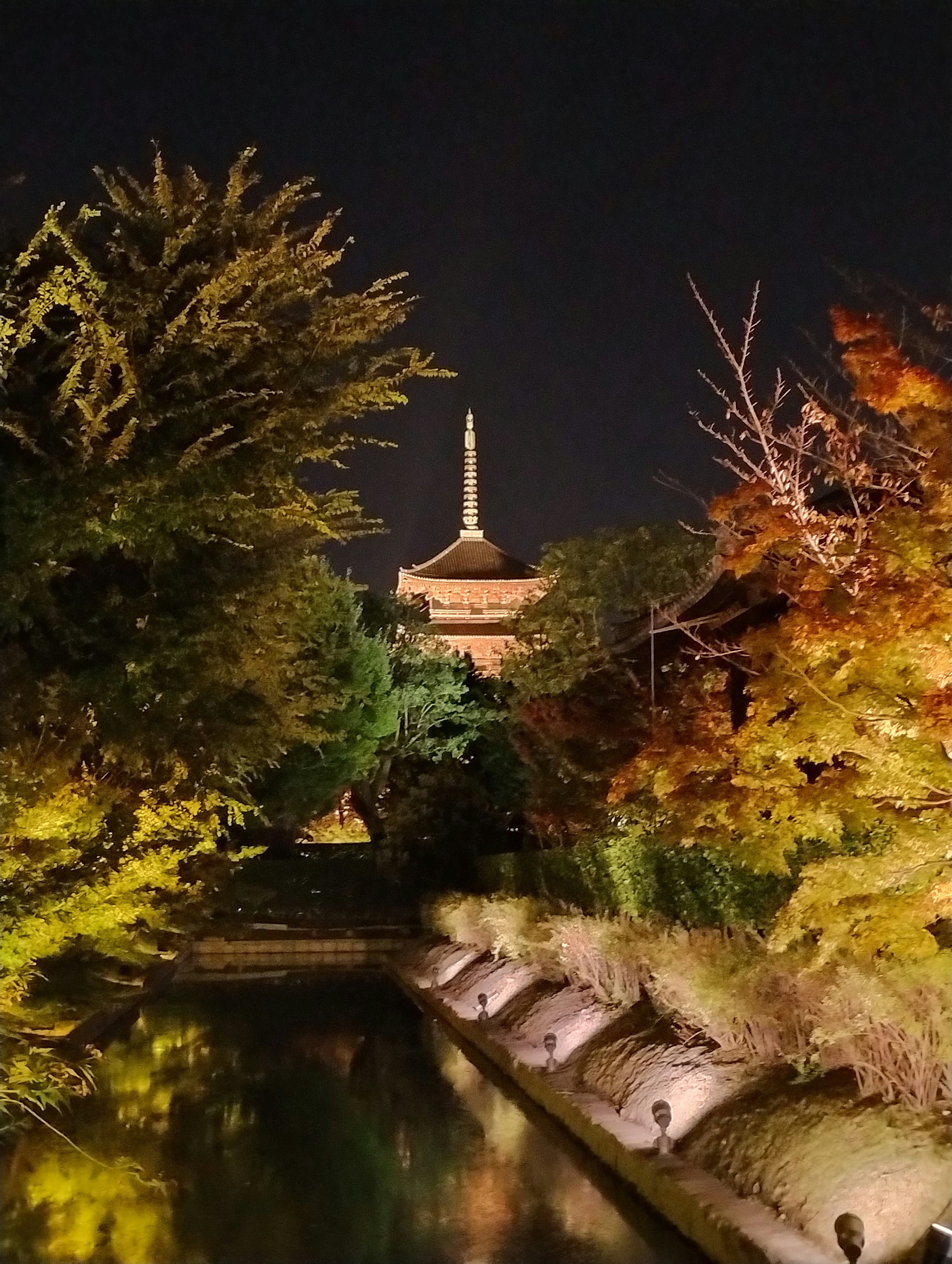 美丽的夜晚公园景象，五彩斑斓的树木在池塘中倒影，背景有一座塔