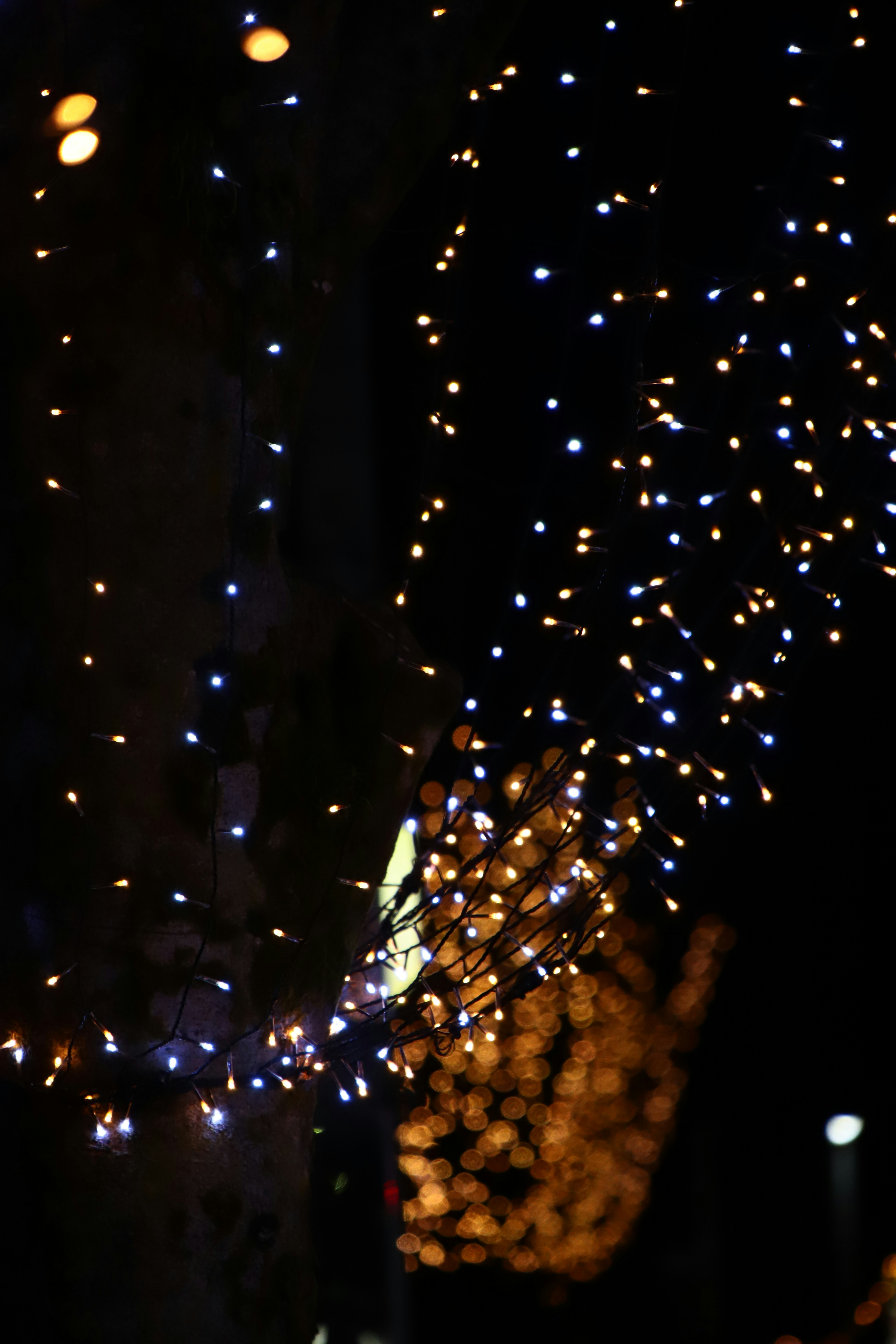 Twinkling blue and white fairy lights adorning a city street at night