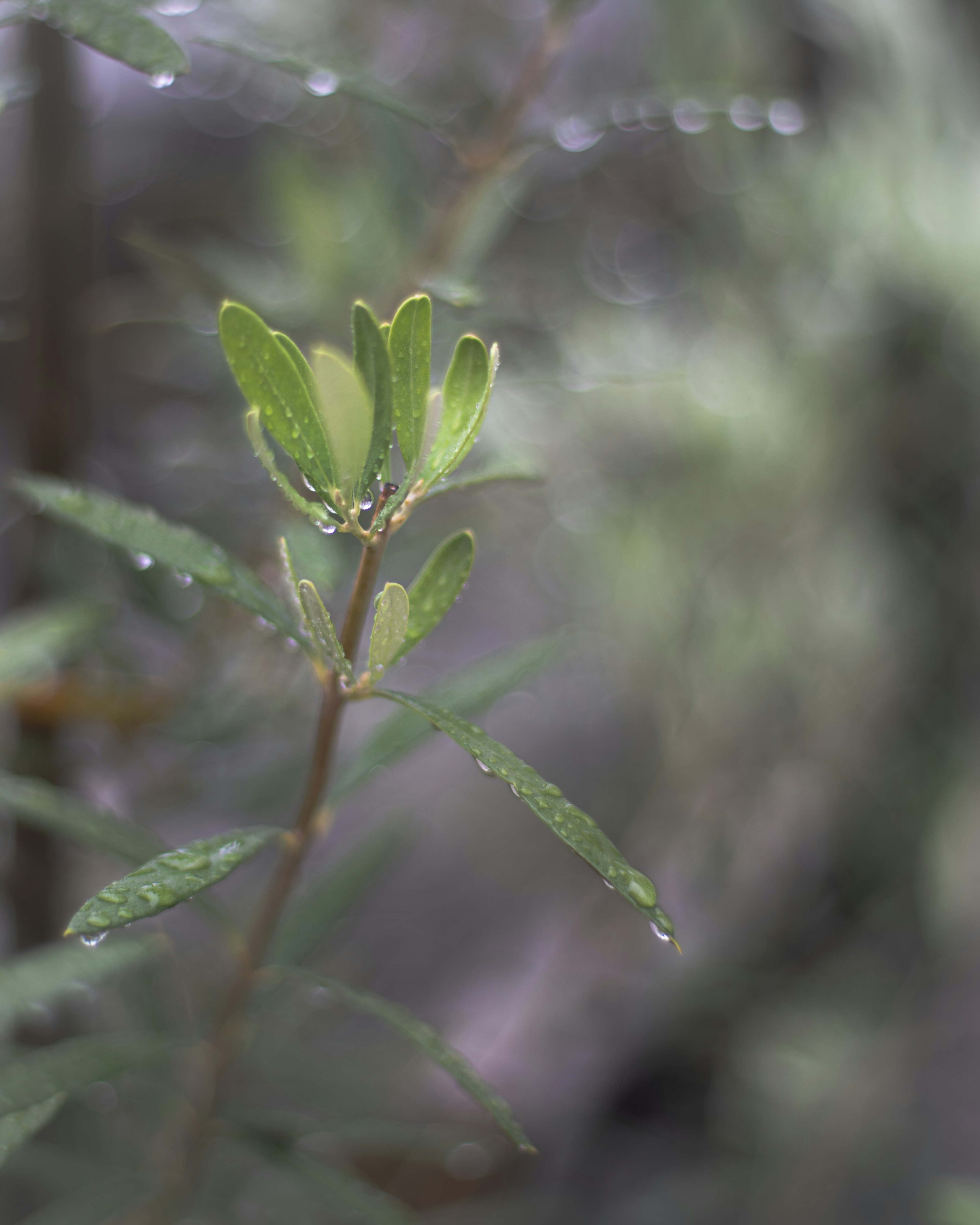 photo-yS9pTmQ6E4k6eNOeDUD0-image