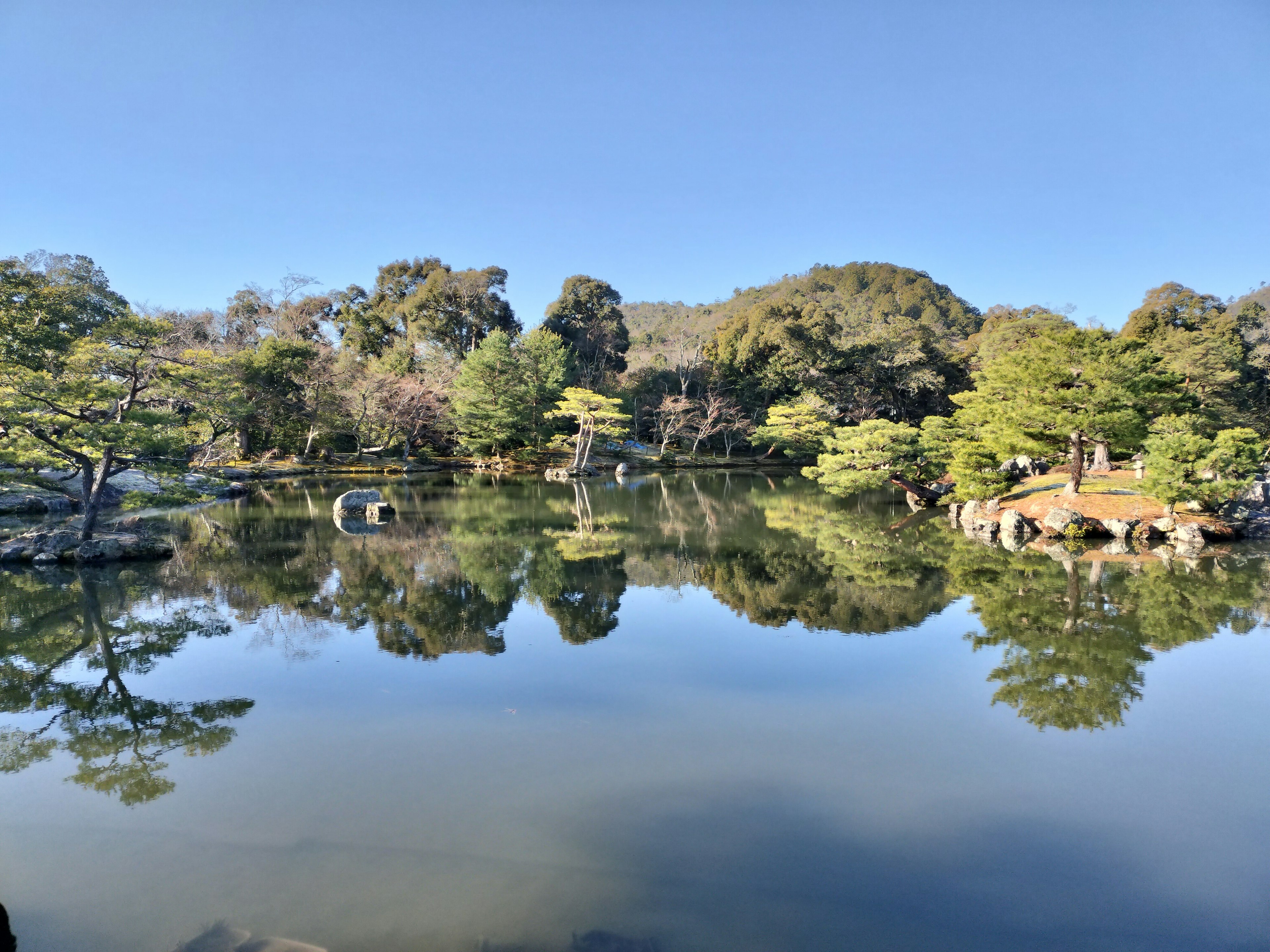 Paesaggio sereno con vegetazione lussureggiante e cielo blu riflesso sull'acqua calma