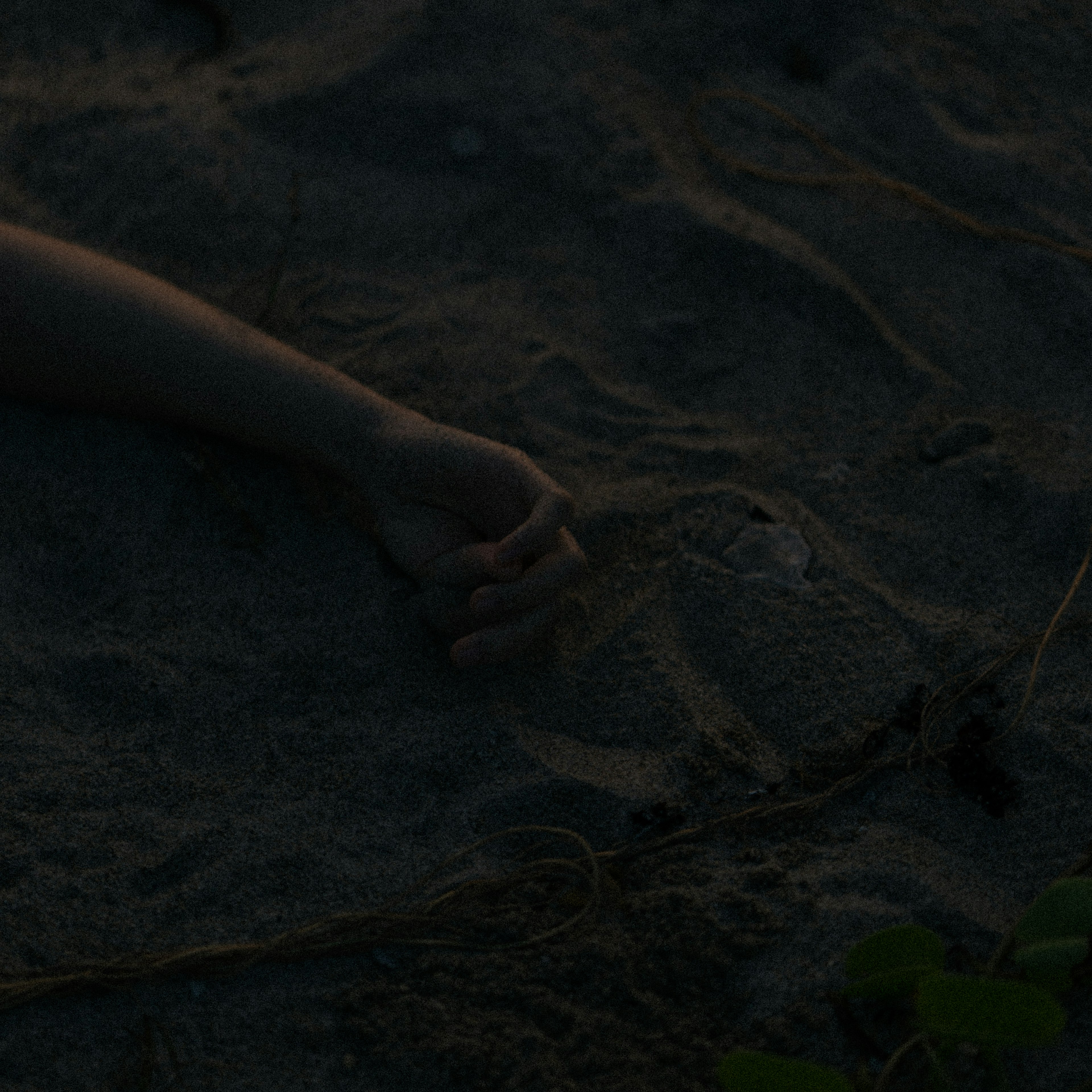 Eine Hand liegt im Sand mit umliegenden natürlichen Elementen