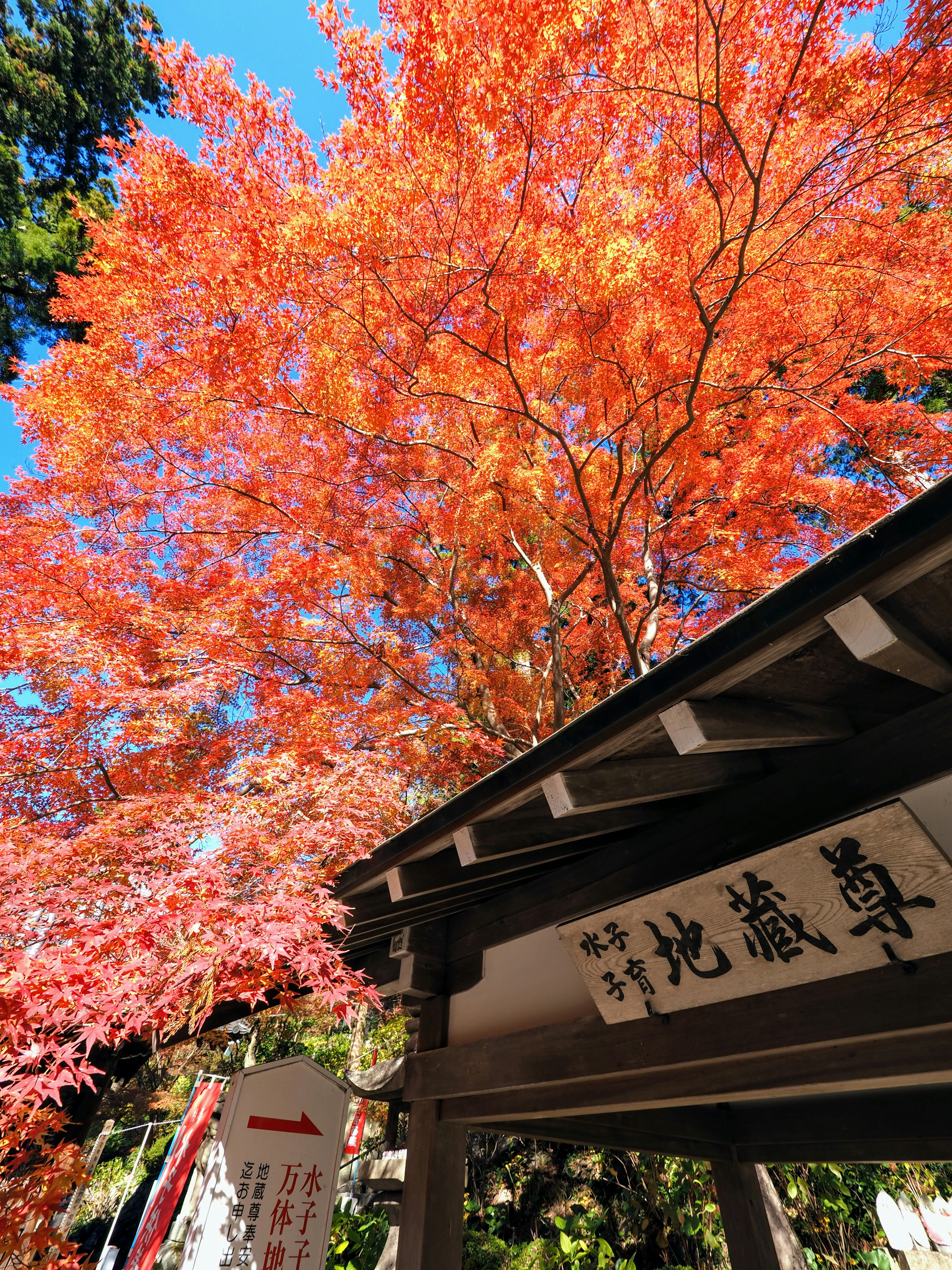 Traditional Japanese sign under vibrant autumn leaves