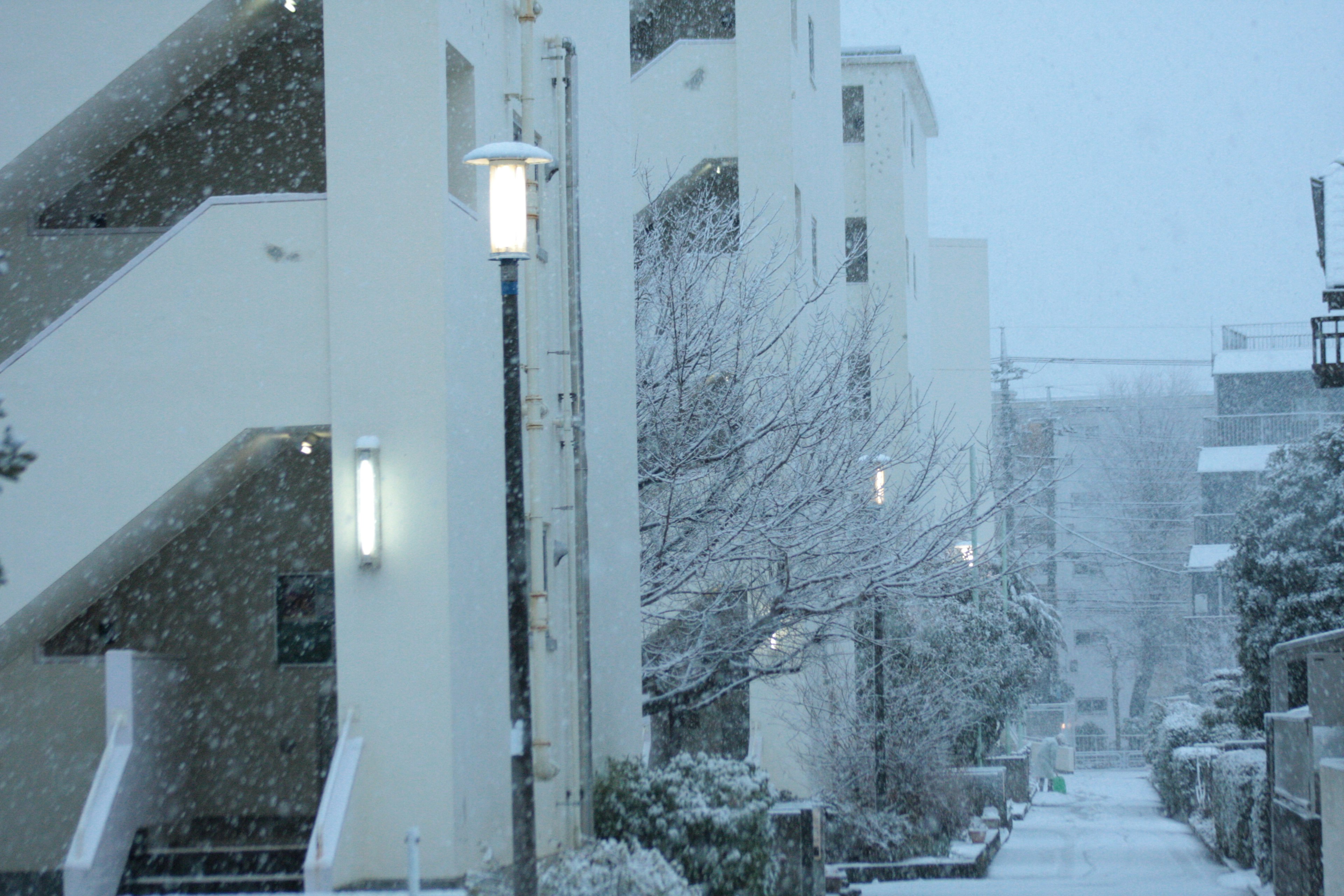 Snowy residential street scene with white buildings and streetlight