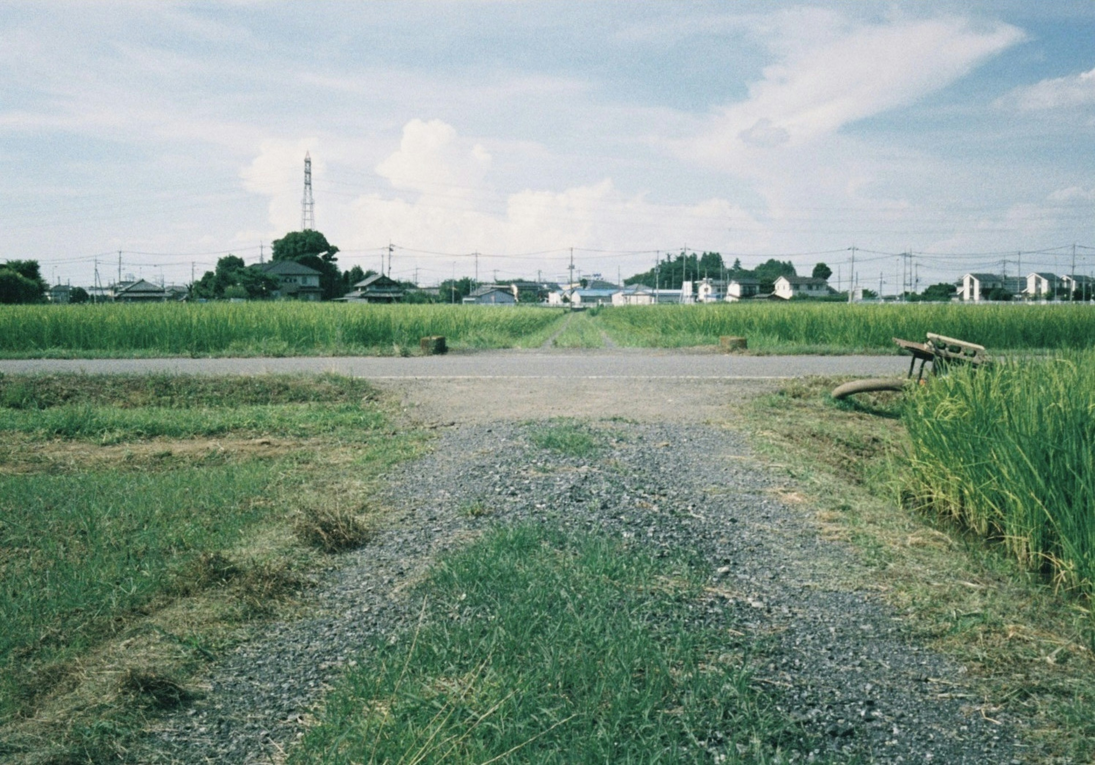 緑の田んぼと小道が交差する風景