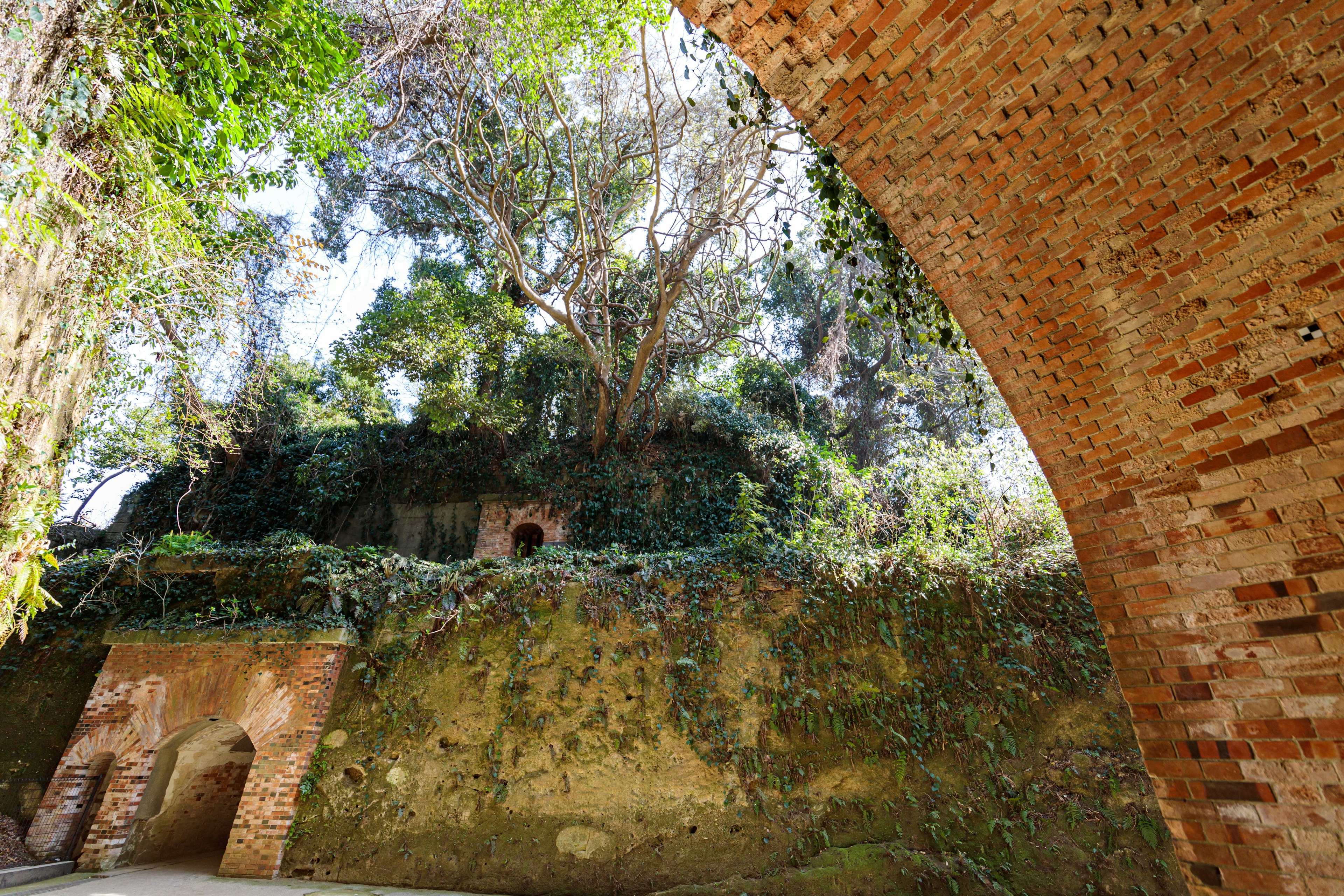 Vista interior de ruinas con un muro de ladrillo en arco y vegetación exuberante