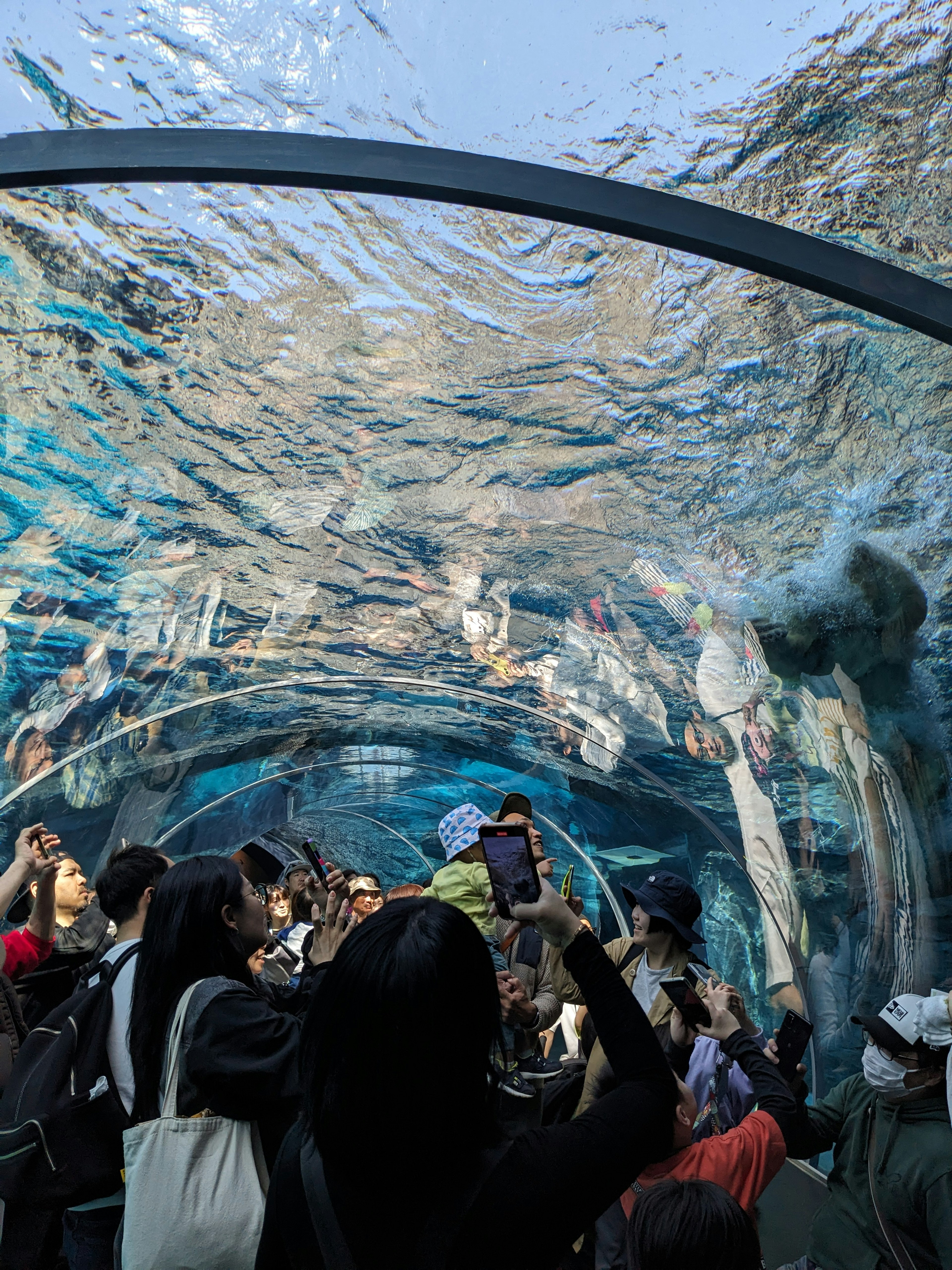 Visitantes mirando peces dentro de un túnel de acuario