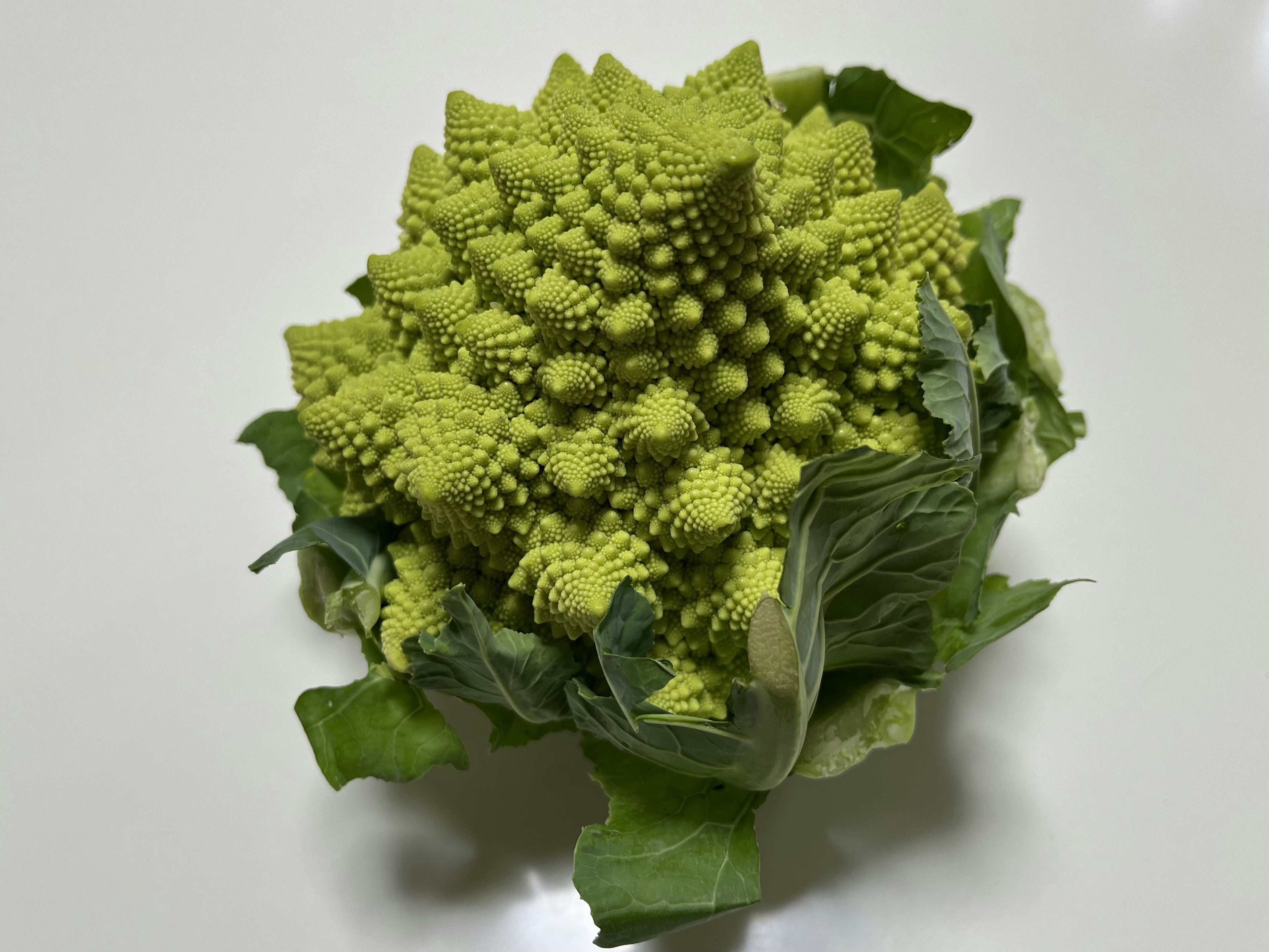 Sayuran Romanesco hijau dikelilingi daun