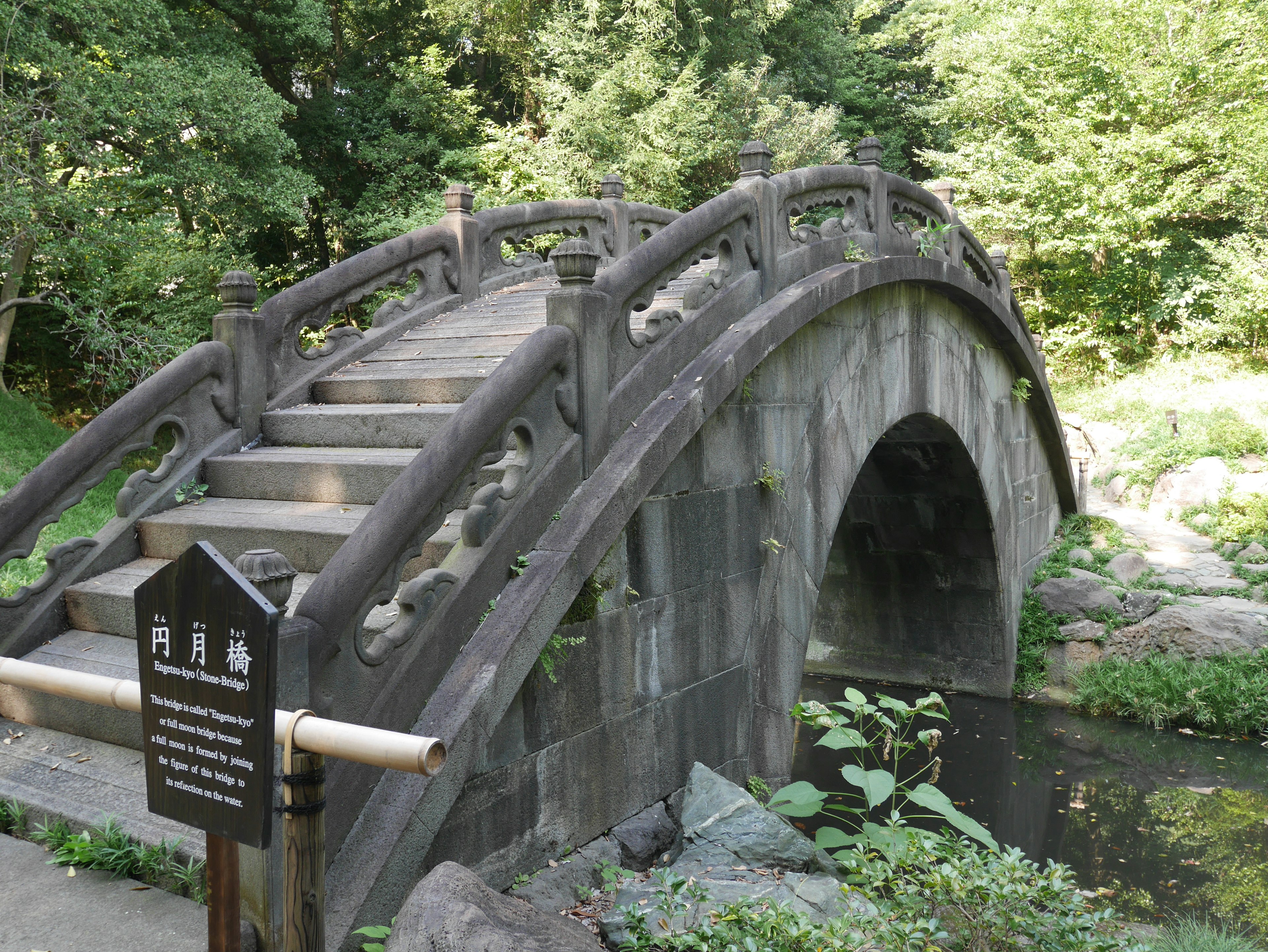 Pont en pierre arqué traditionnel entouré de verdure luxuriante