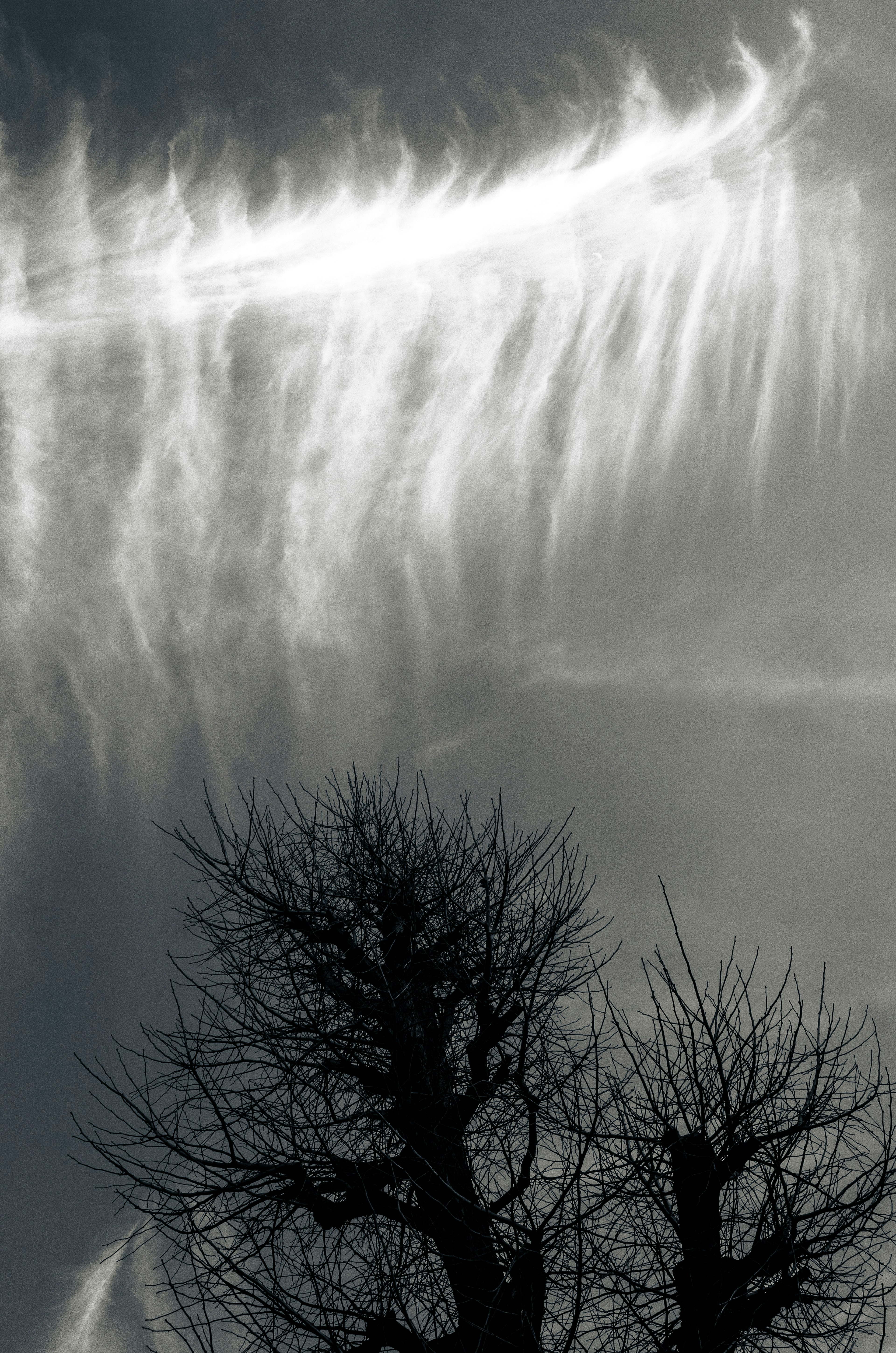 Einzigartige Wolkenmuster in einem grauen Himmel mit Silhouetten kahler Bäume