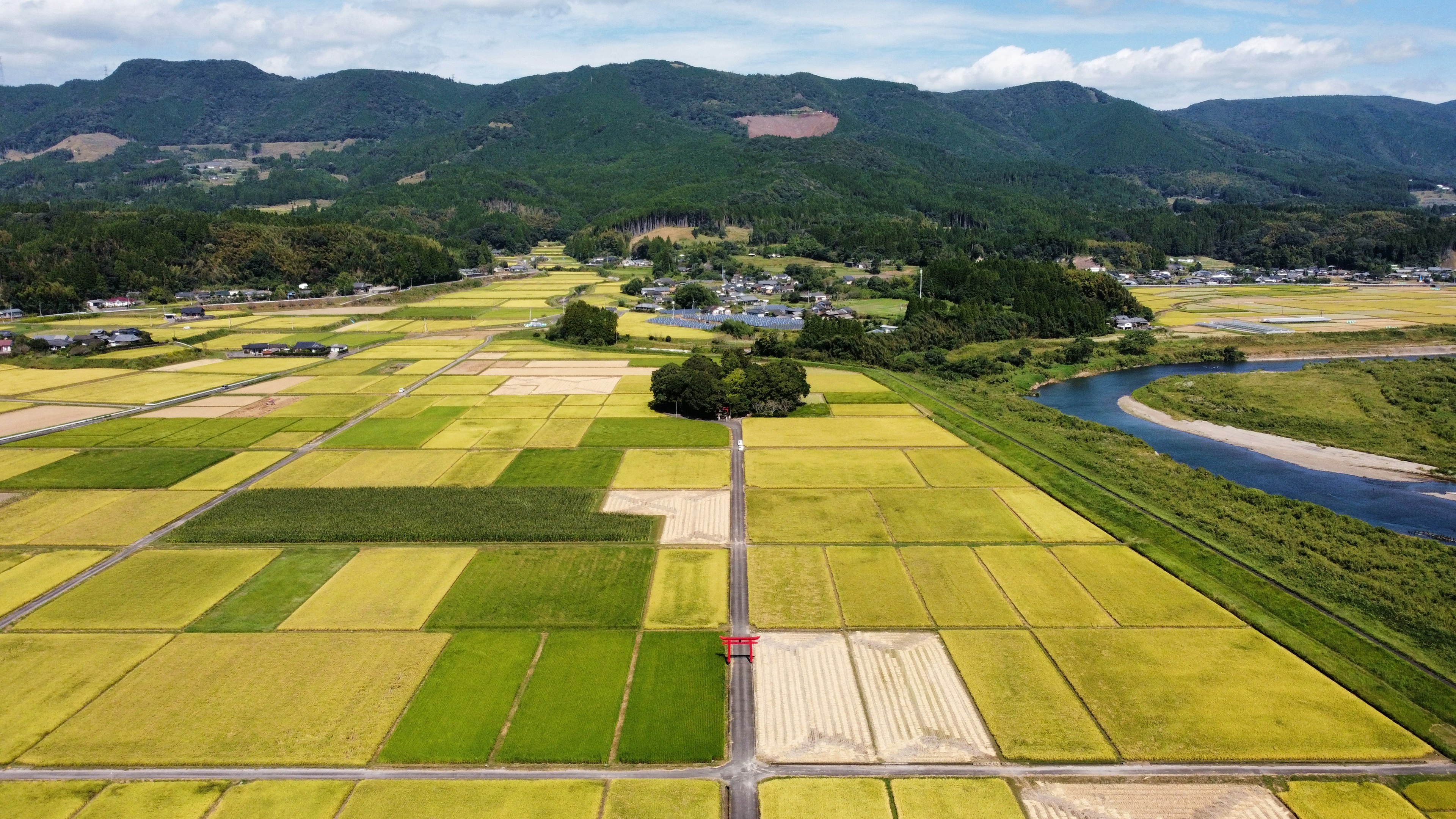 美丽乡村景观的航拍图 绿色和黄色的稻田与山脉和河流在背景中