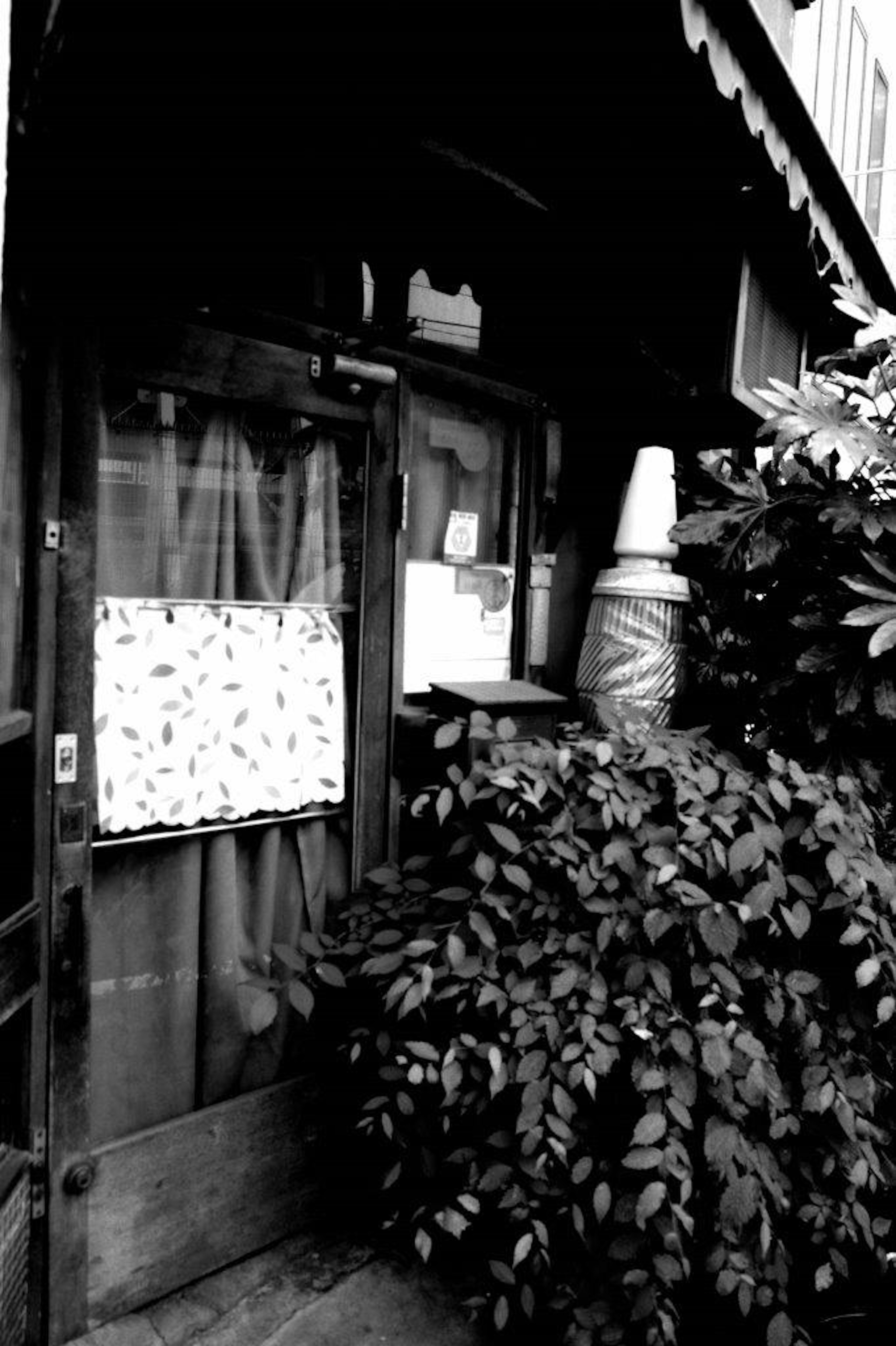 Entrance with an old wooden door surrounded by plants