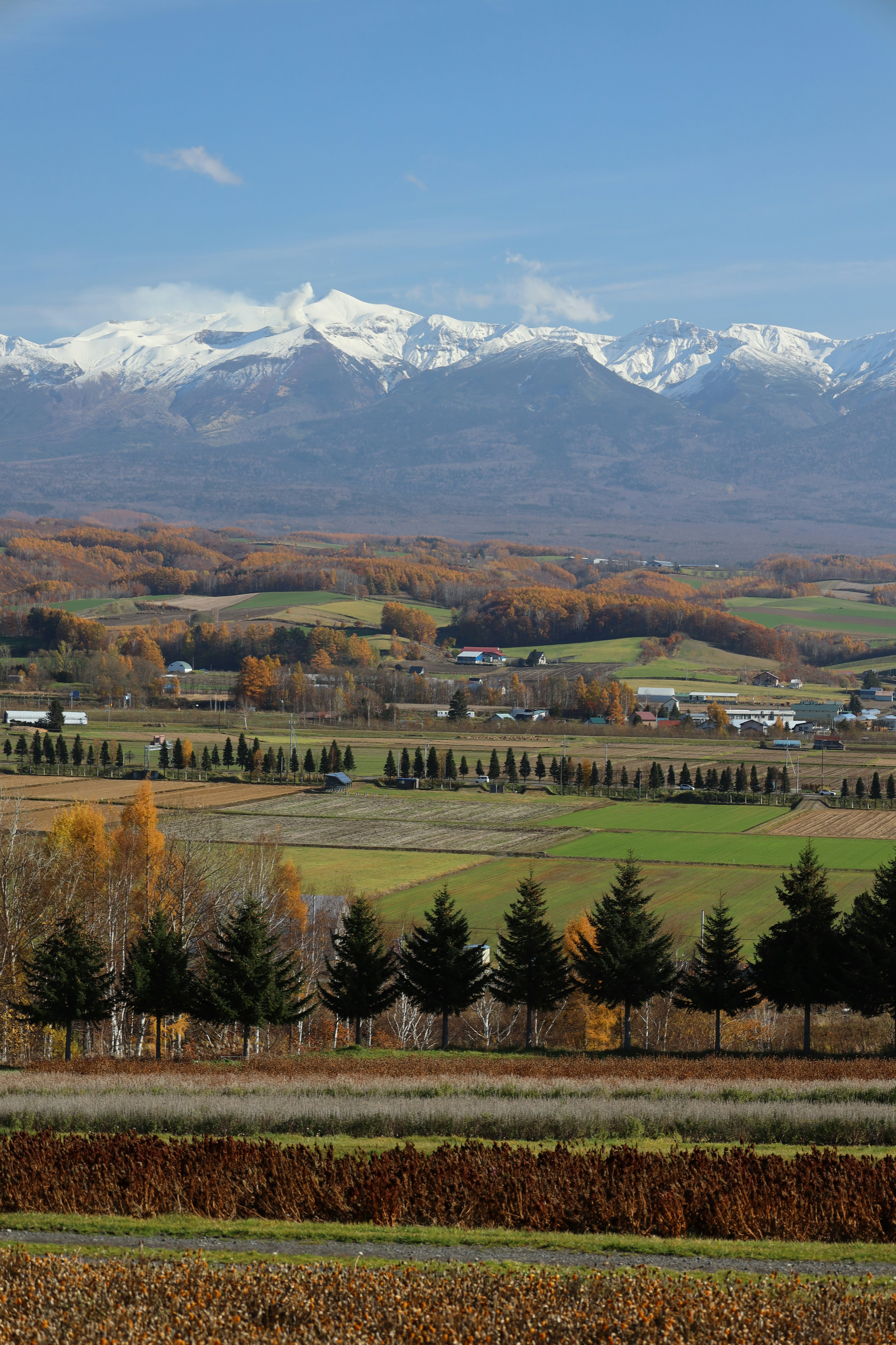 Herbstlandschaft mit schneebedeckten Bergen im Hintergrund und grünen Feldern im Vordergrund