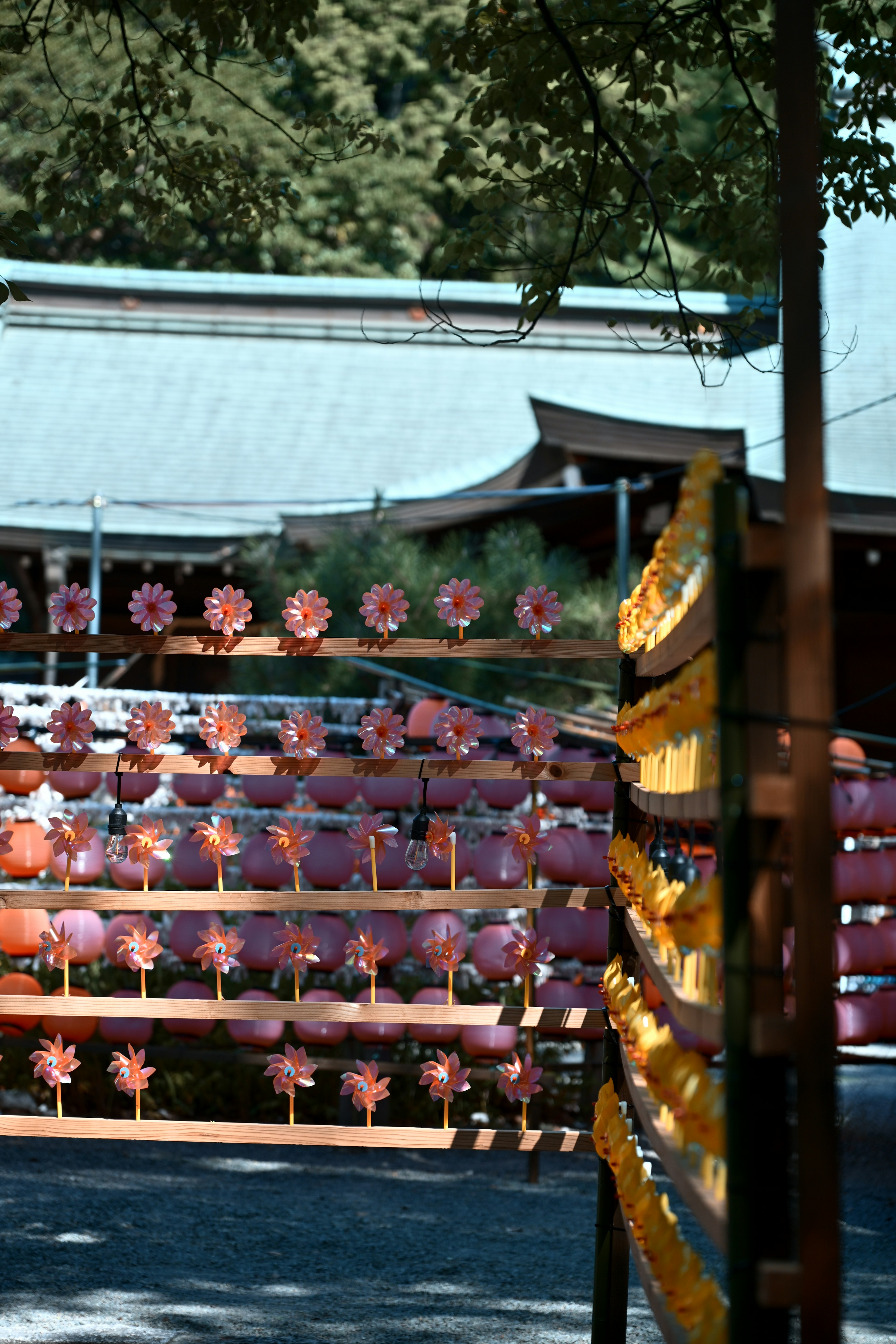 色とりどりの提灯が並ぶ神社の入り口の風景