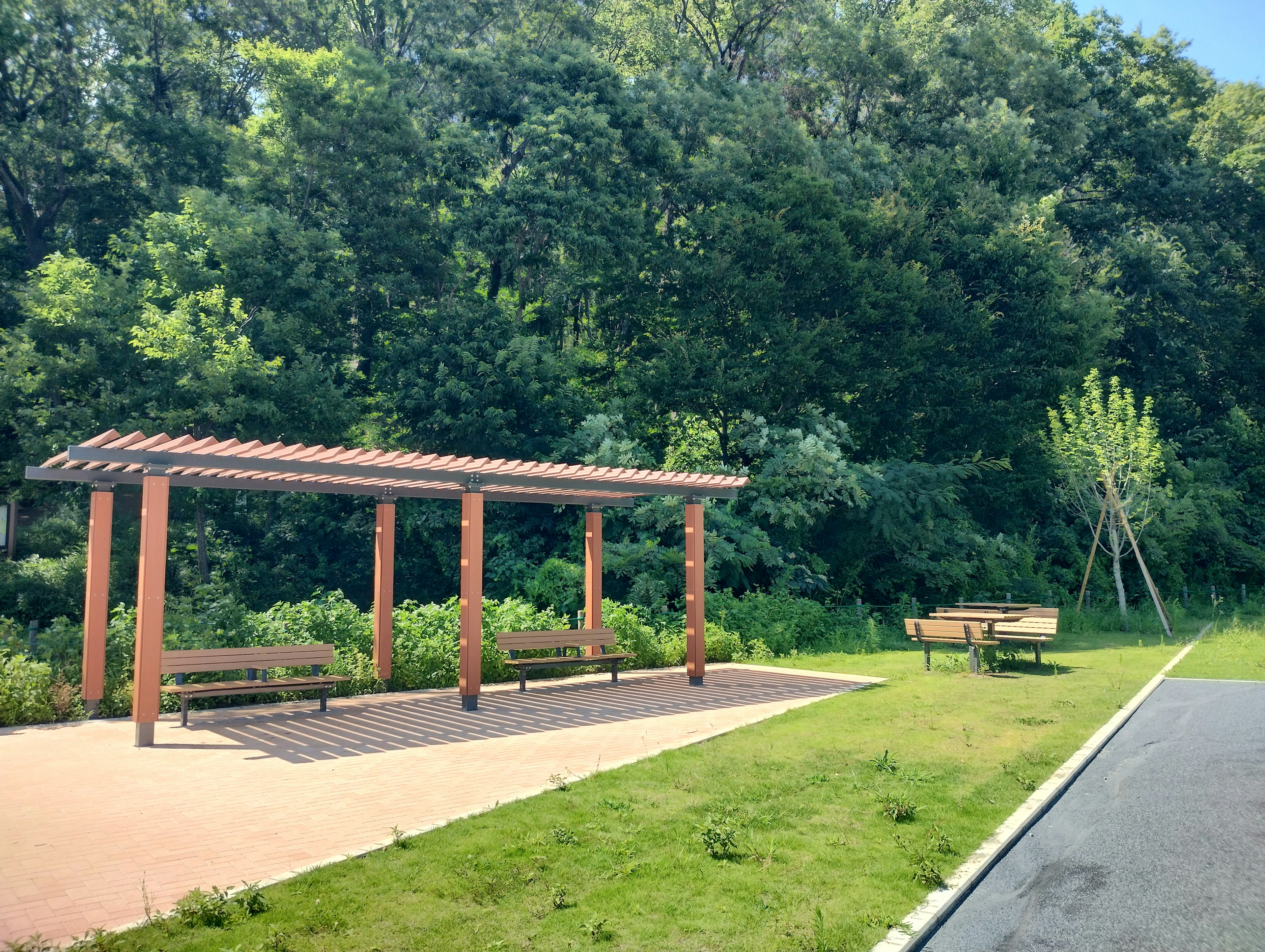 木製のパーゴラとベンチがある緑豊かな公園の風景