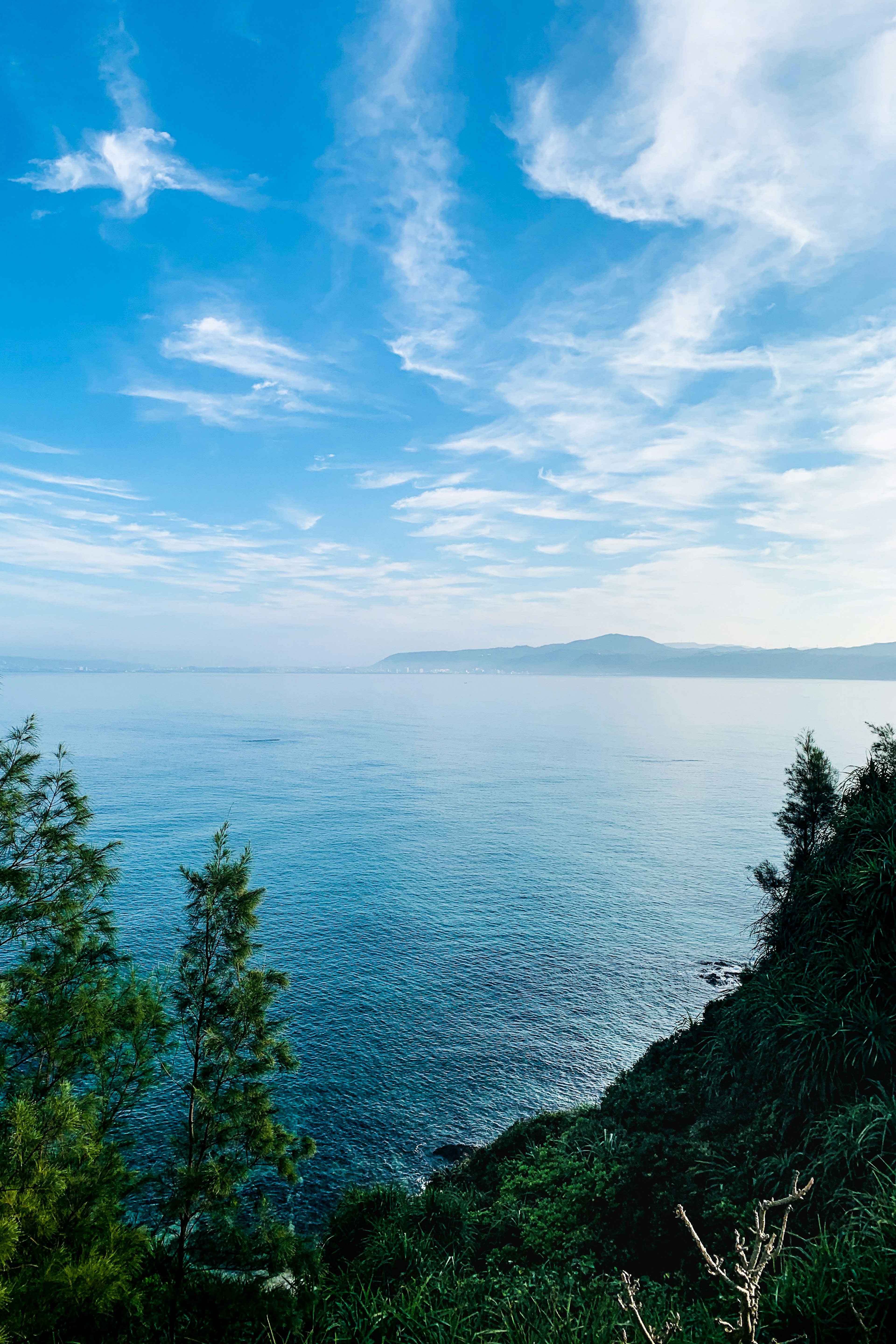 Scenic view of blue ocean and sky with foreground vegetation