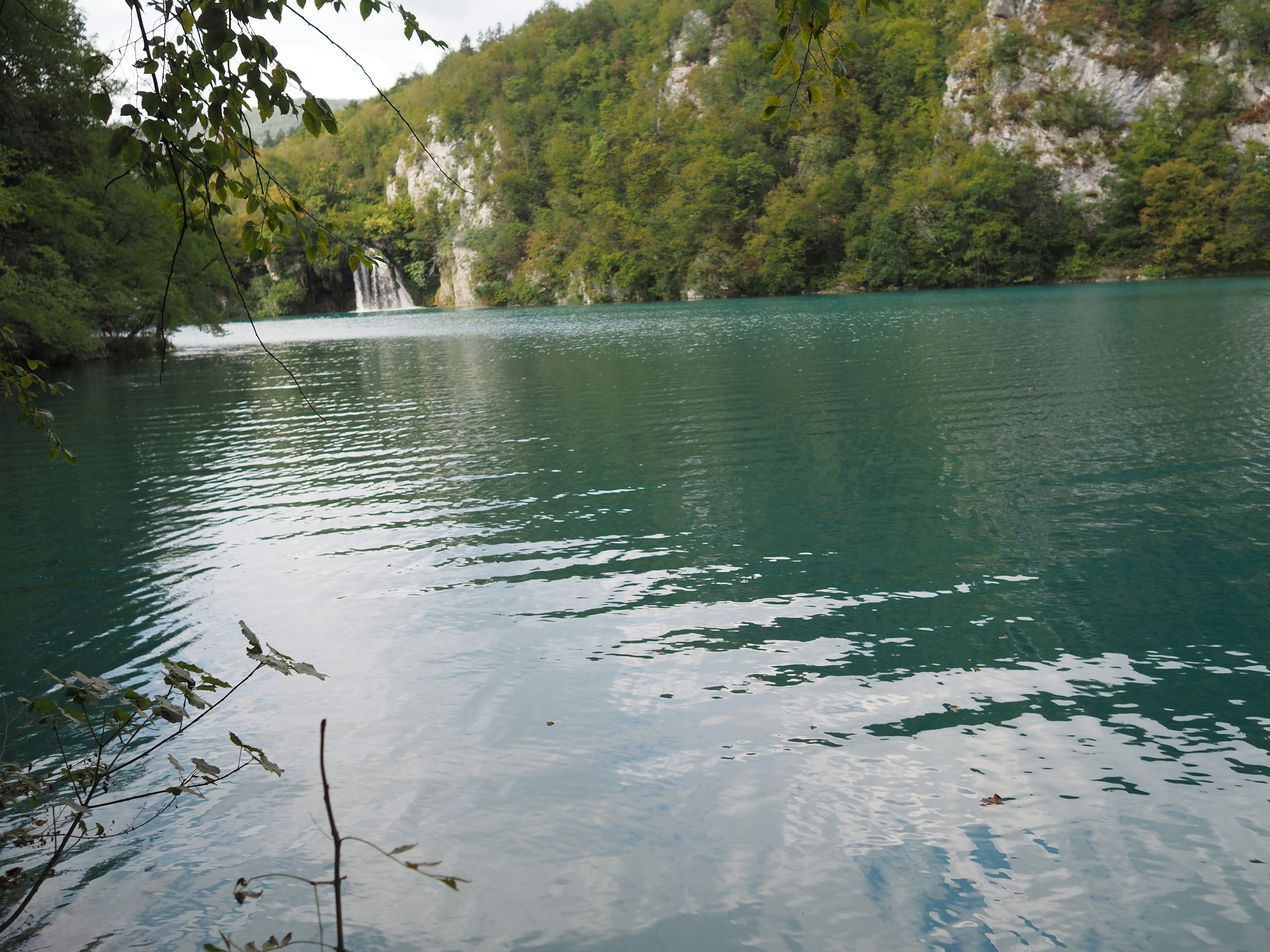 Schöner Bergsee mit üppigem grünen Wald