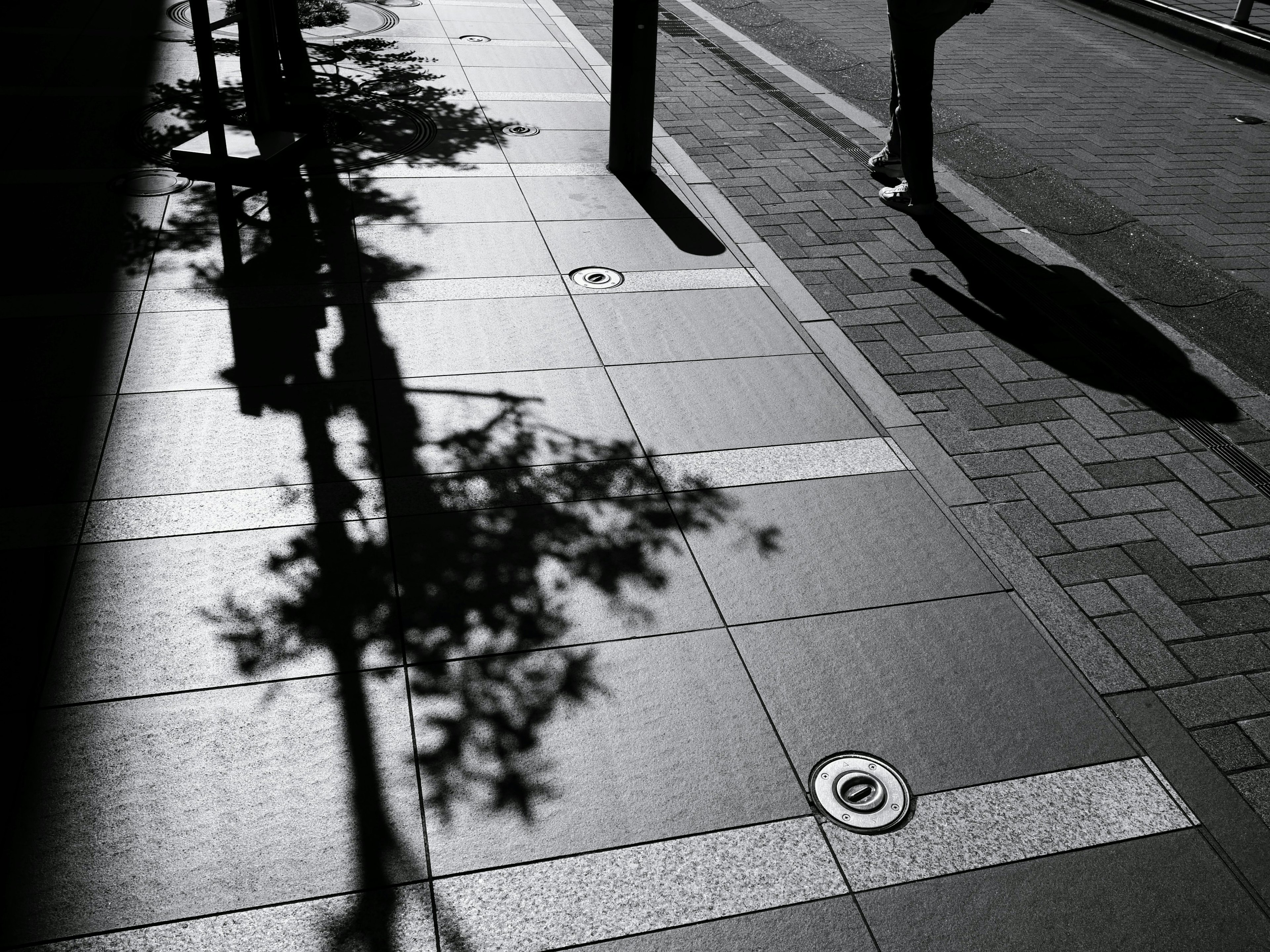 Schwarz-Weiß-Kontrast des Gehwegs mit Baum Schatten und menschlicher Silhouette