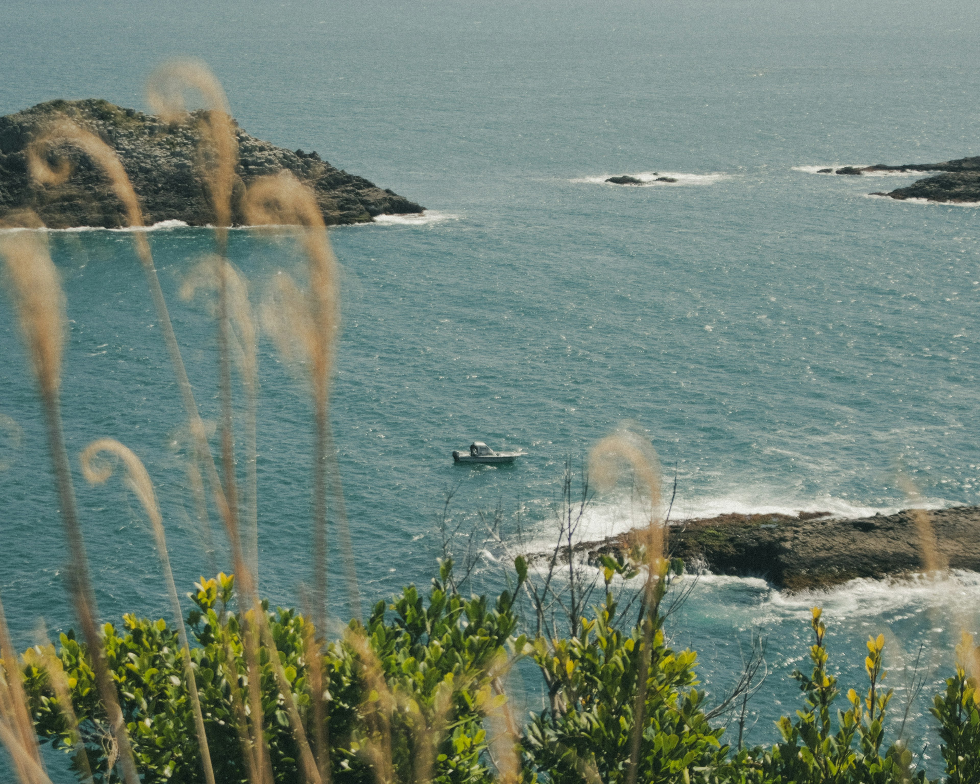 Vista panoramica dell'oceano con una piccola barca e vegetazione costiera