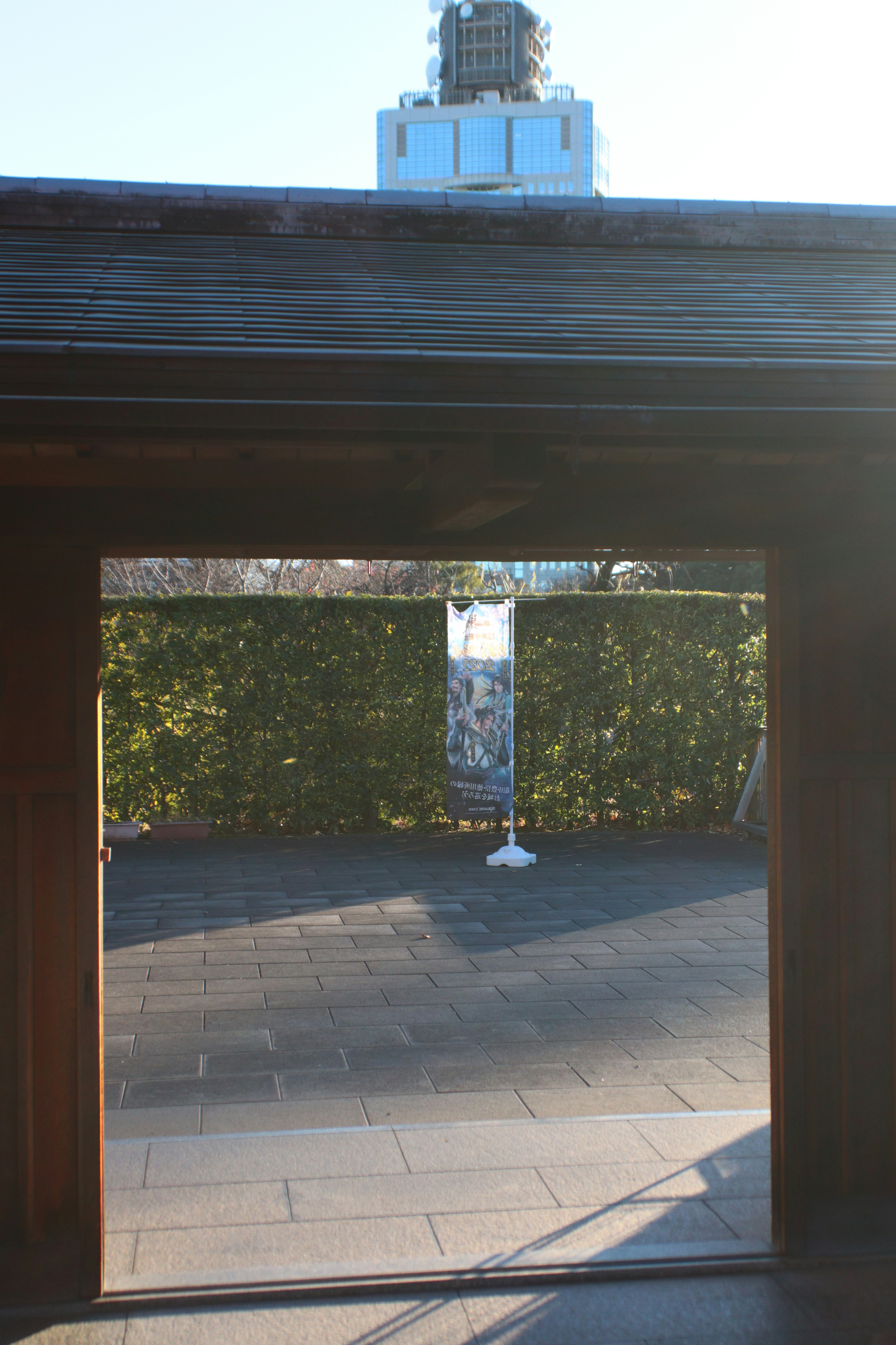 View through a wooden gate showing a green hedge and blue sky