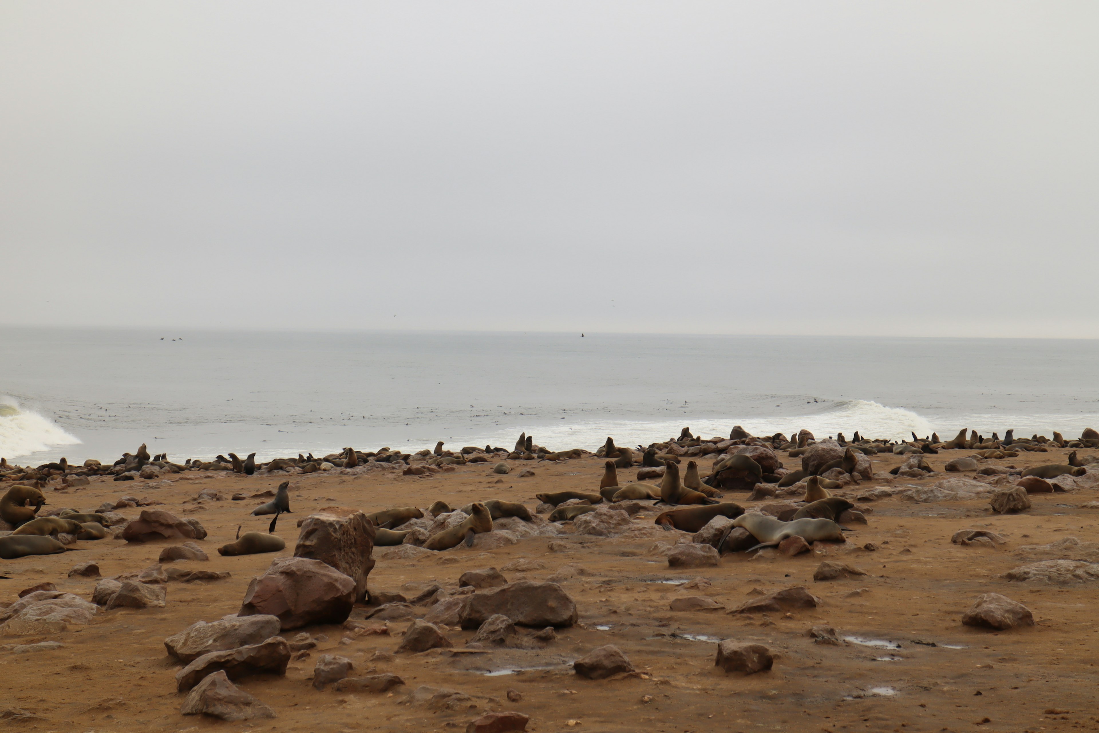 Scène côtière avec des rochers et des vagues sous un ciel nuageux