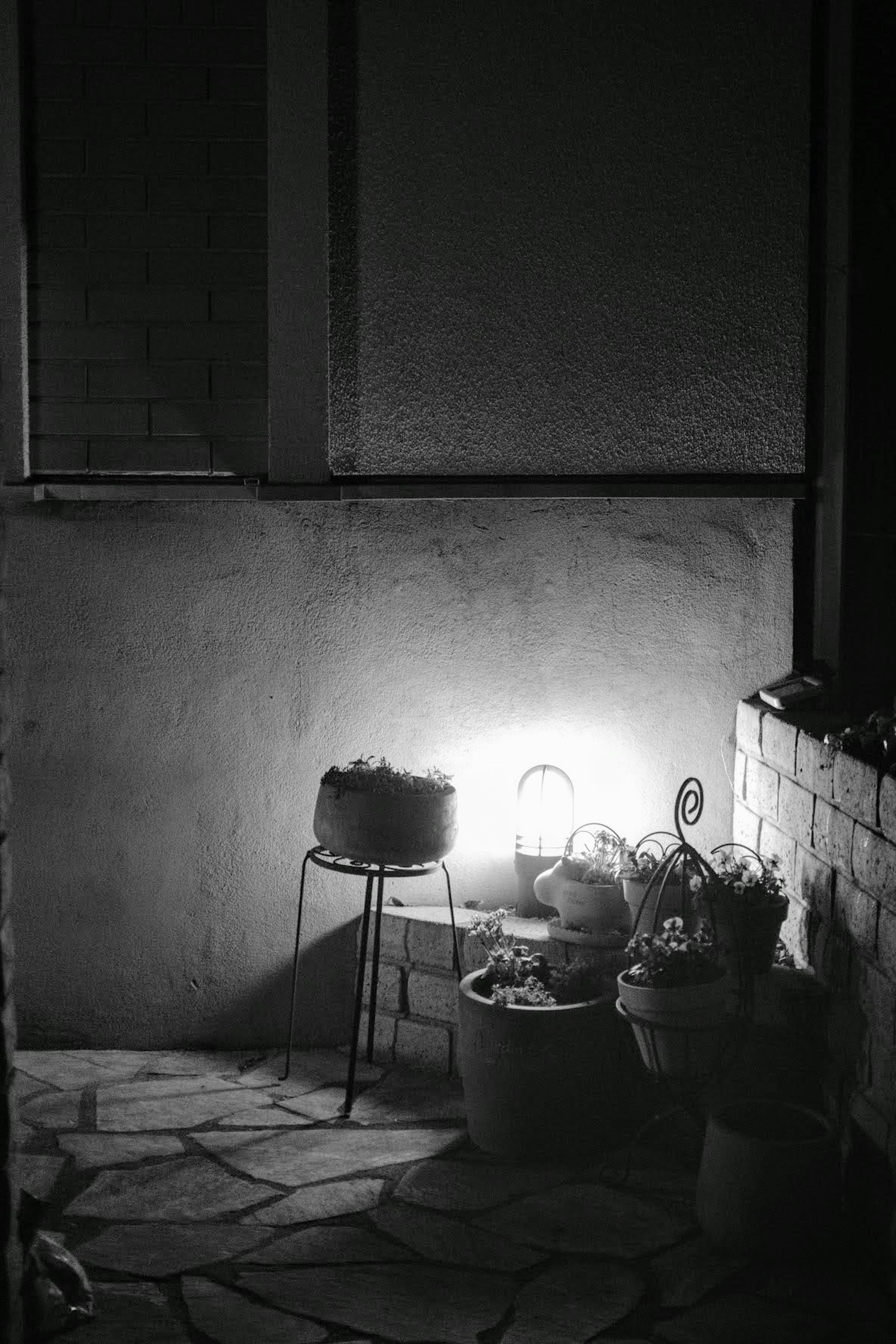 Un coin tranquille avec des pots de plantes et une lampe dans une pièce sombre