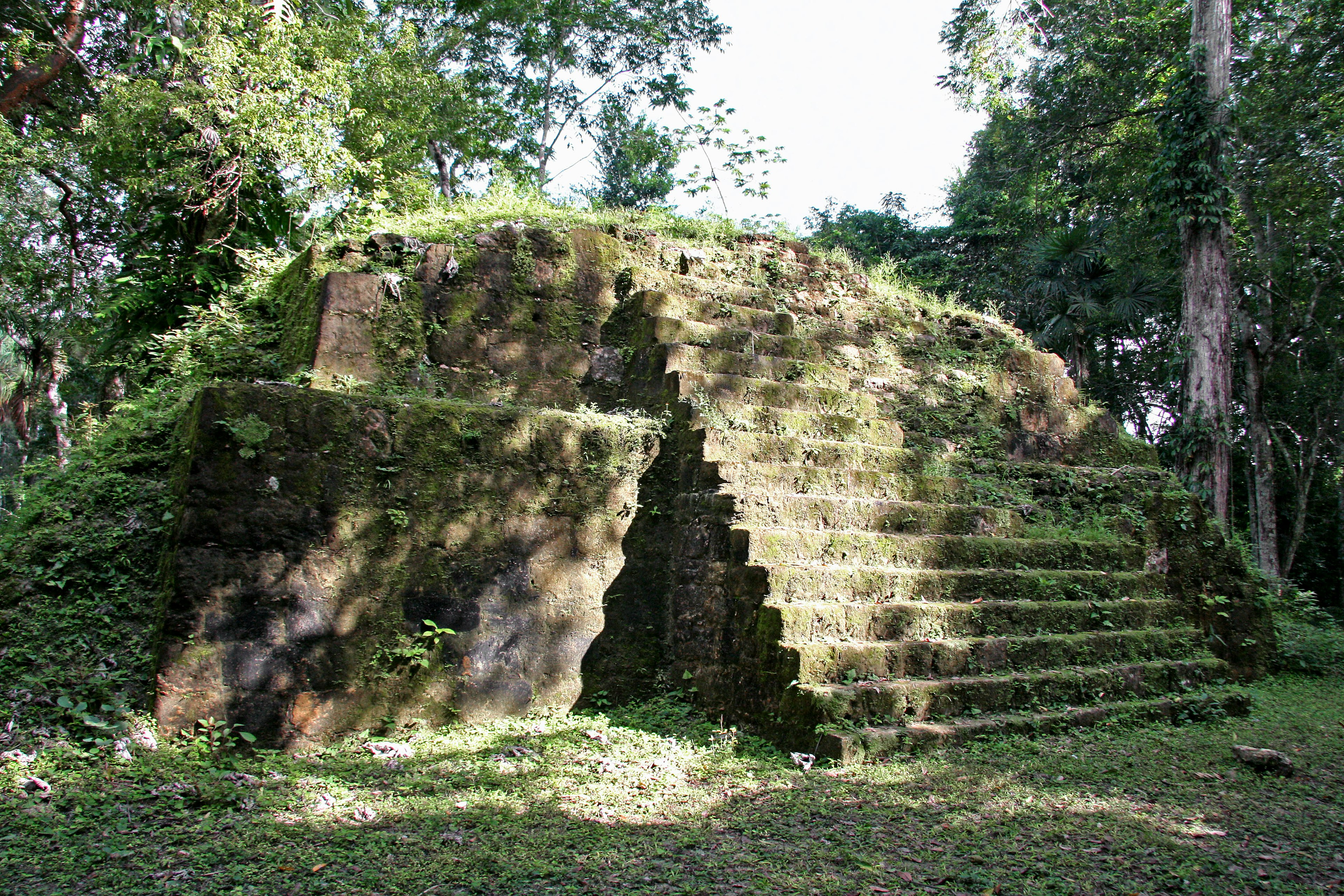 Ruines anciennes avec des marches recouvertes de mousse et une structure