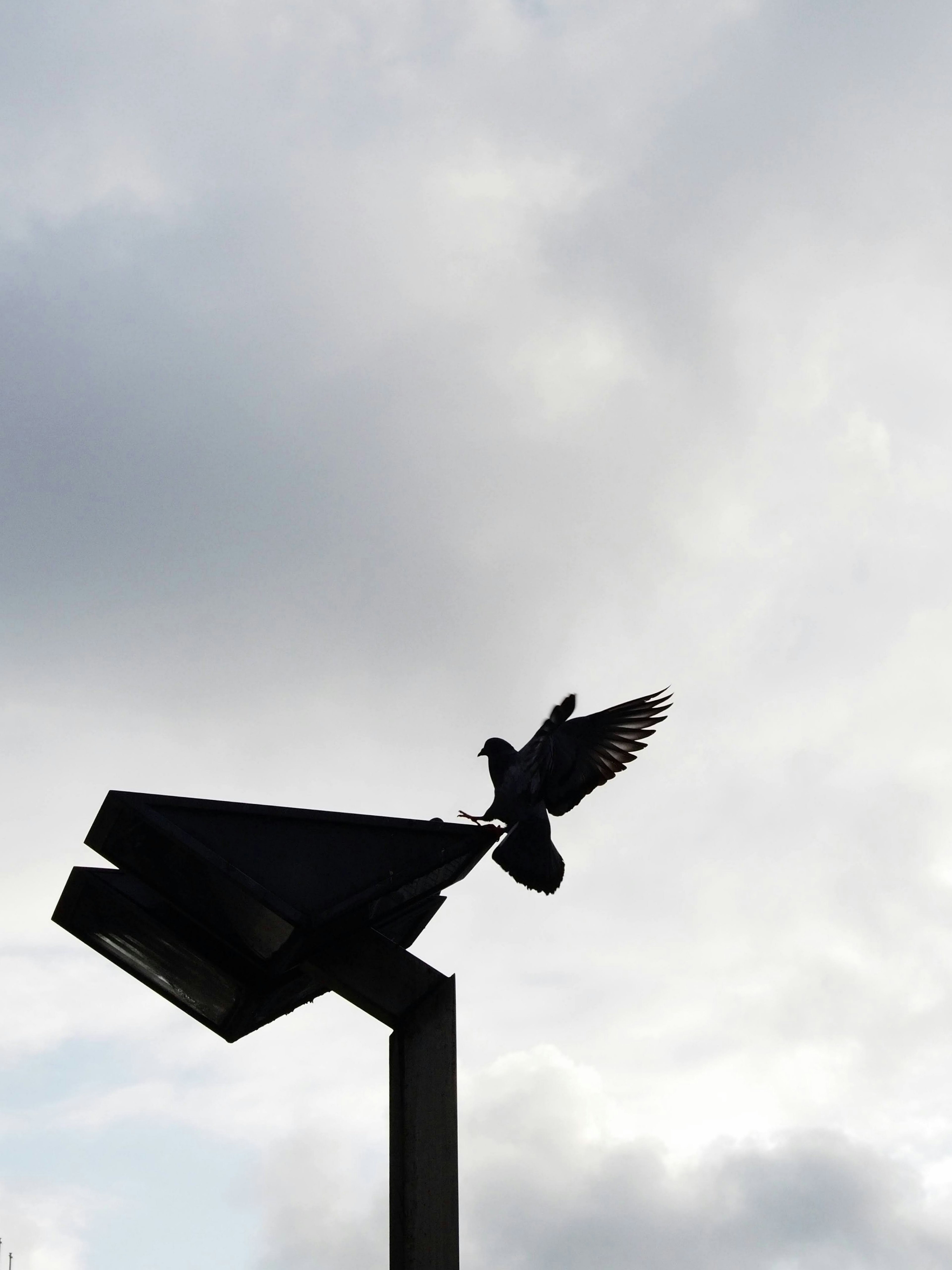 Silhouette d'un oiseau s'envolant d'une structure sous un ciel nuageux