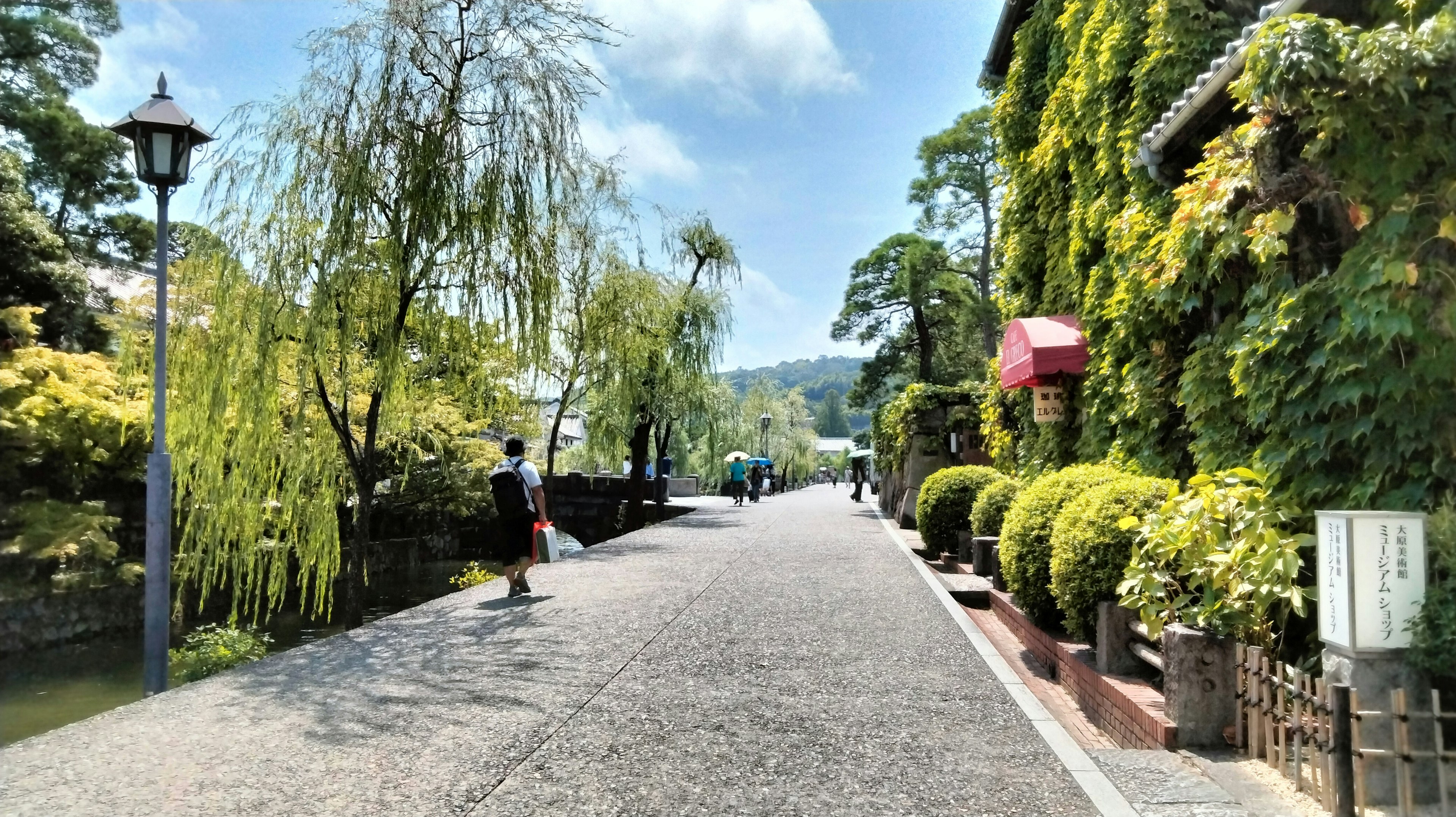 緑豊かな通りに沿って歩く人々と周囲の植物のある風景