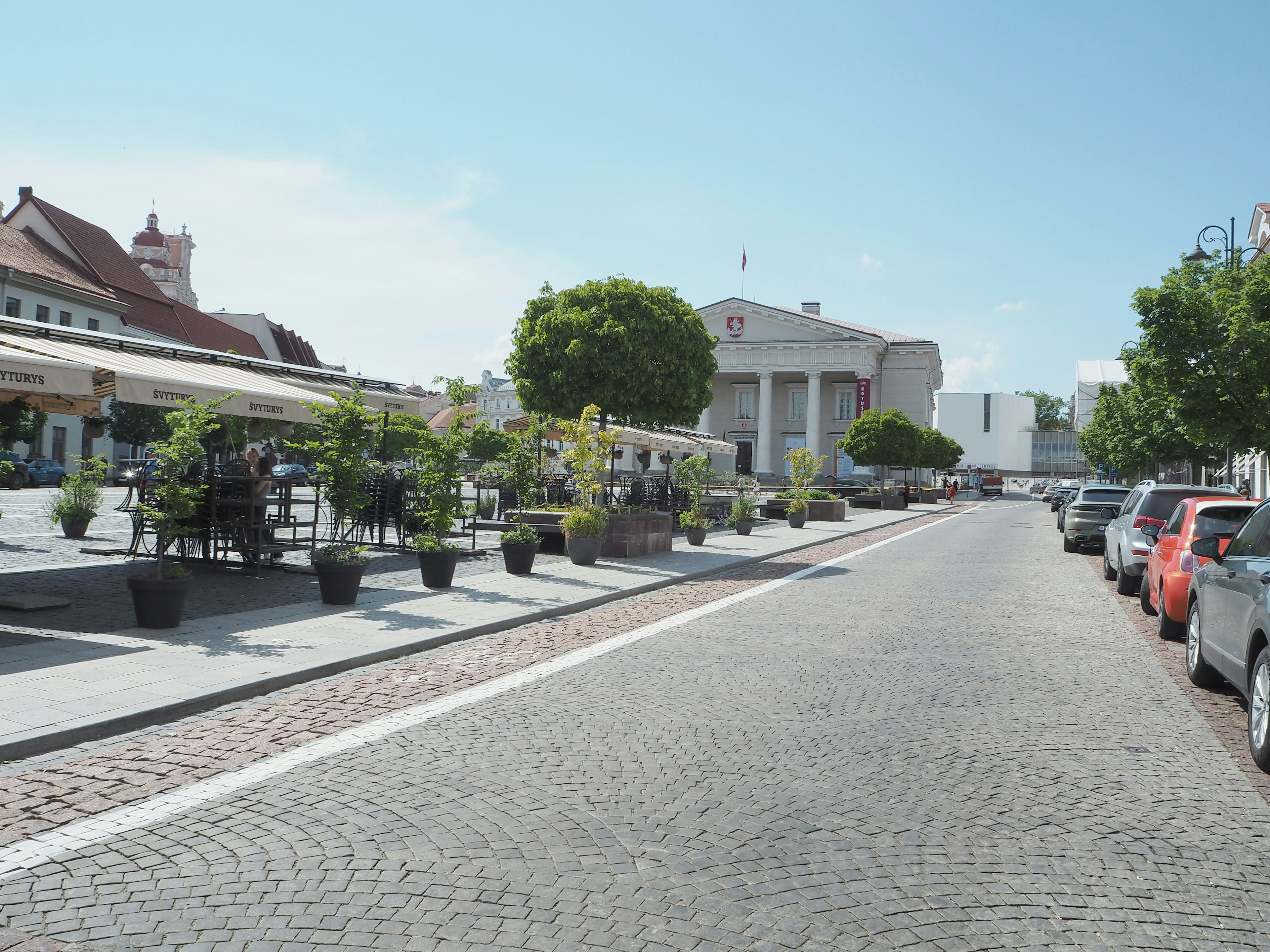 Street view under bright blue sky lined with greenery and cobblestones featuring buildings and parked cars