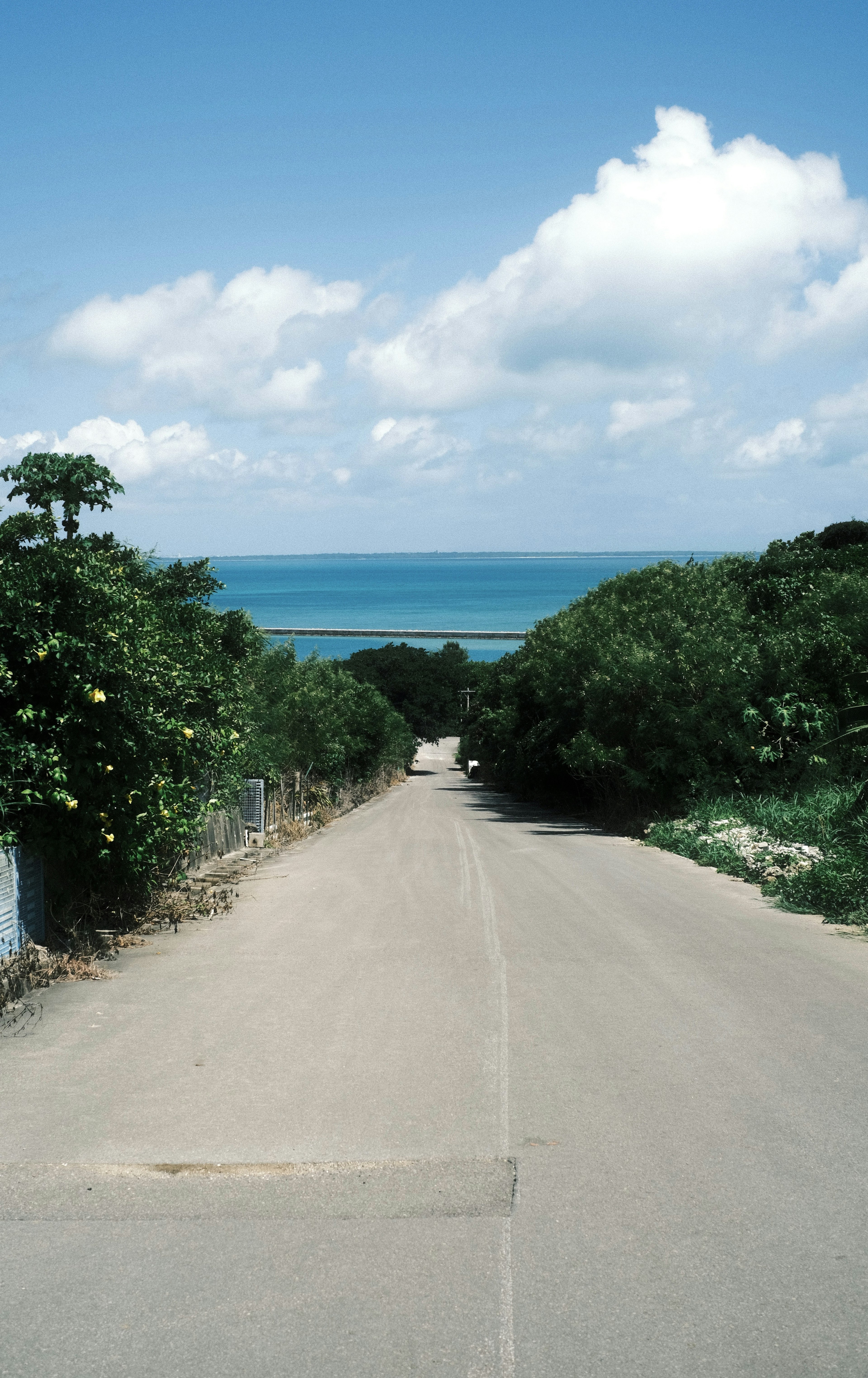 Scenic road leading to the ocean under a bright blue sky