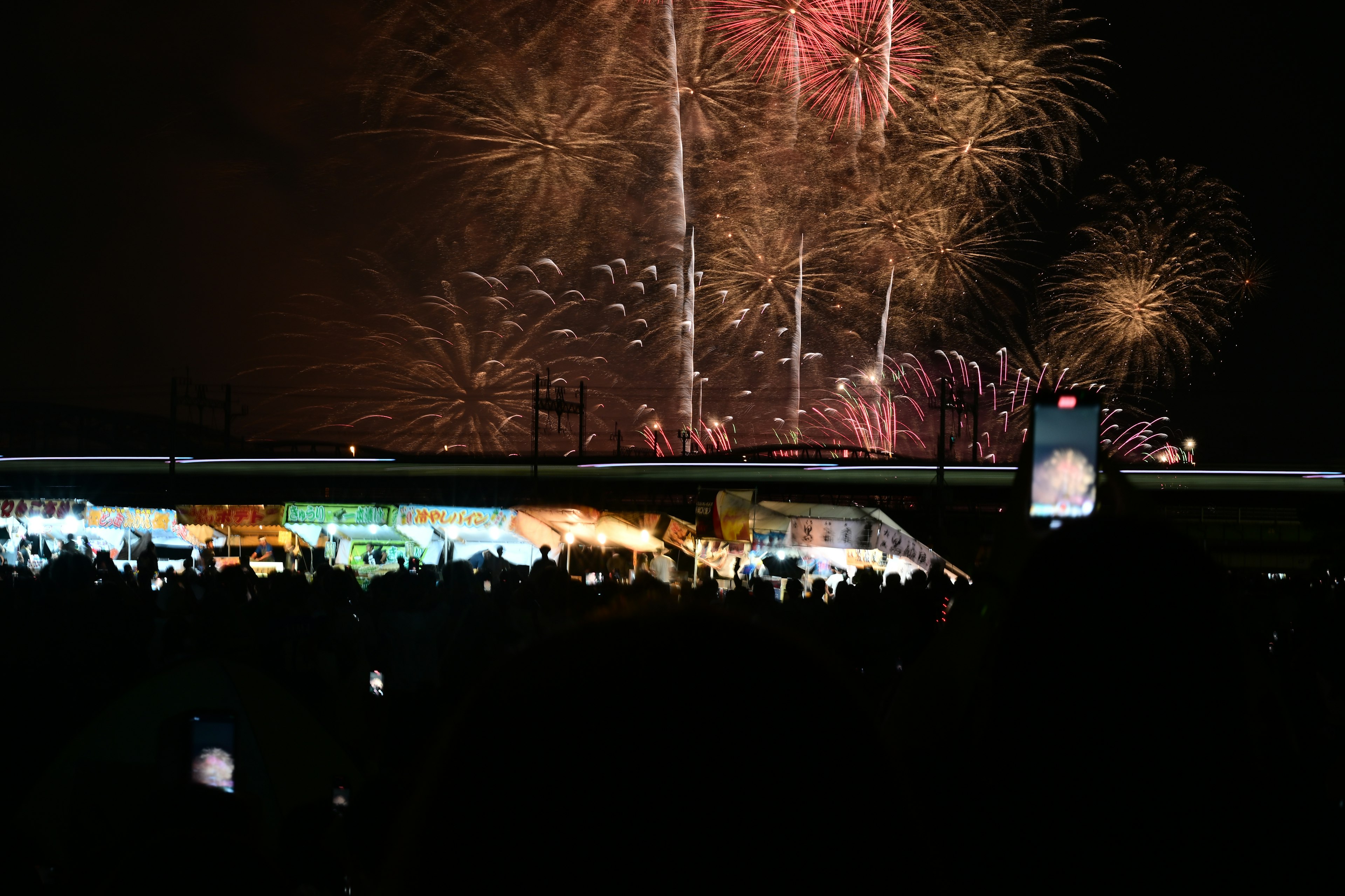 Spectacular fireworks display lighting up the night sky with silhouettes of an audience