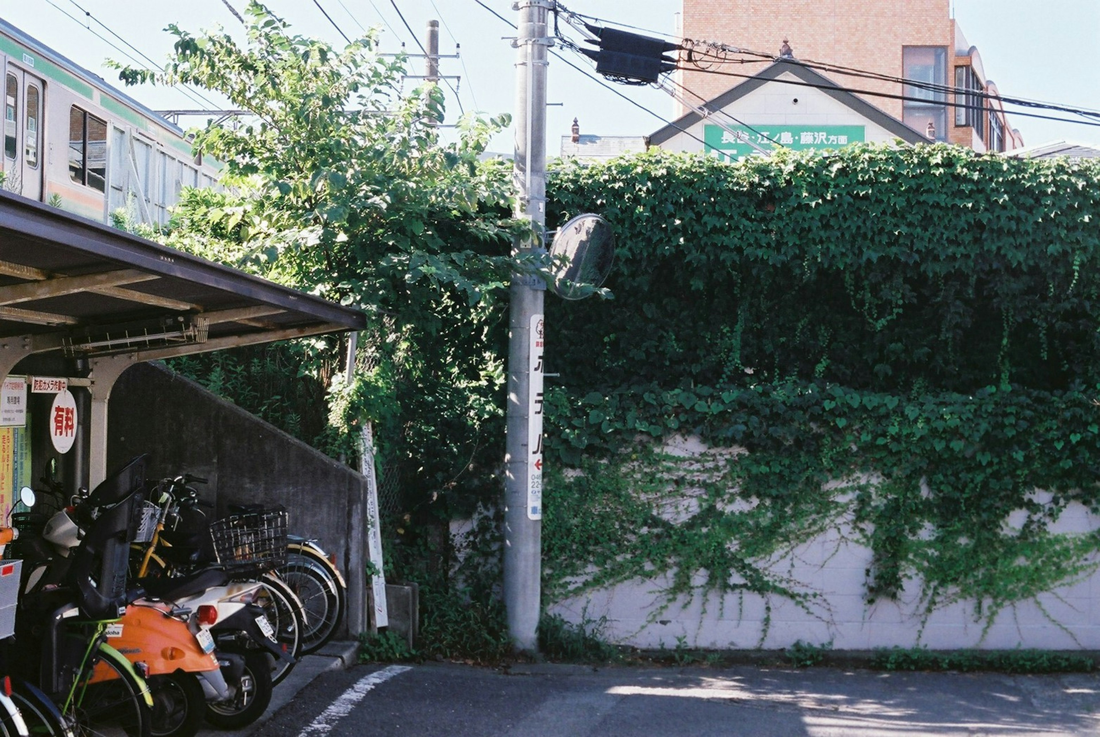 緑の壁に囲まれた駐輪場の風景 自転車とバイクが並んでいる