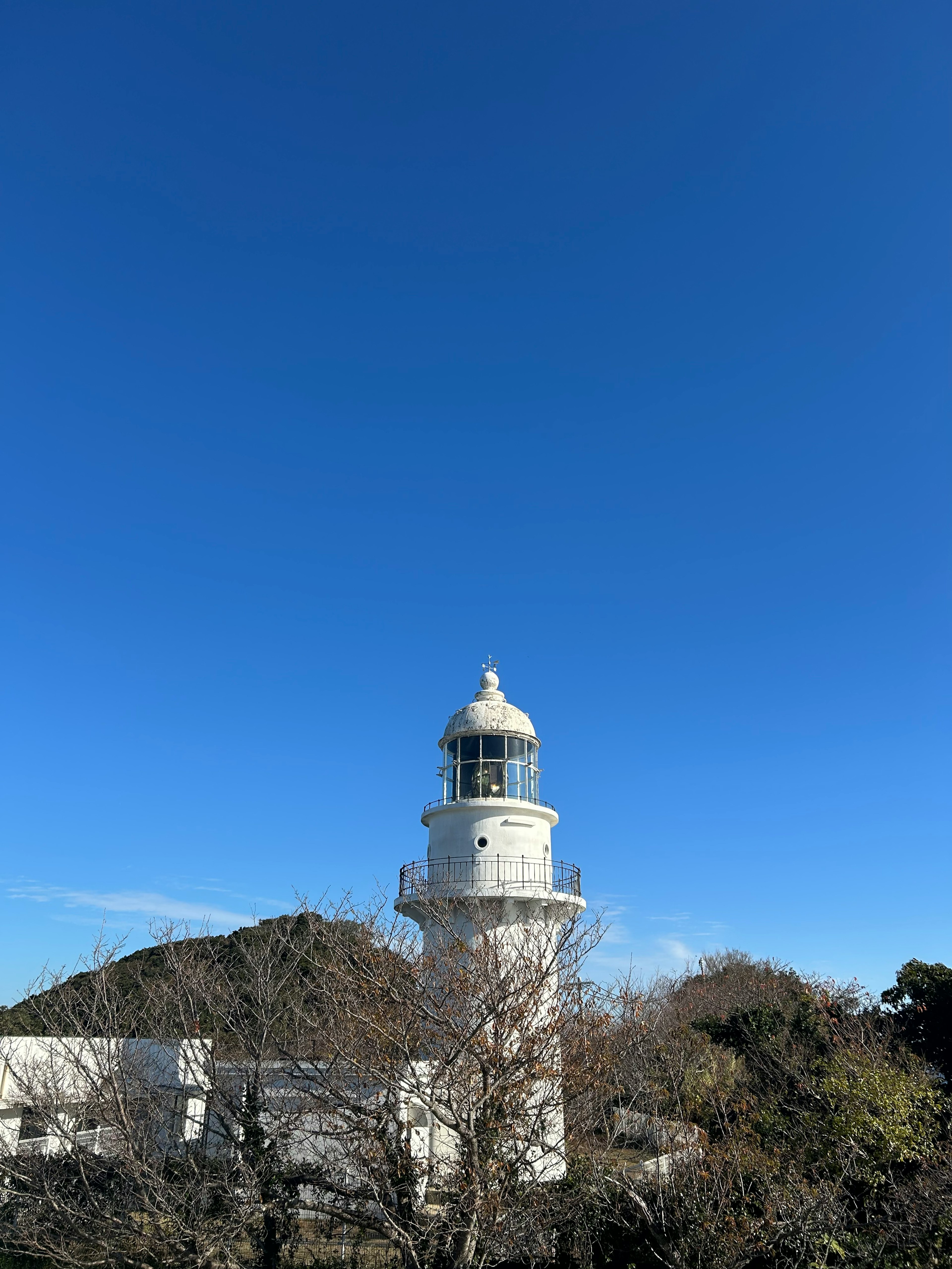 青空の下に立つ白い灯台と周囲の木々